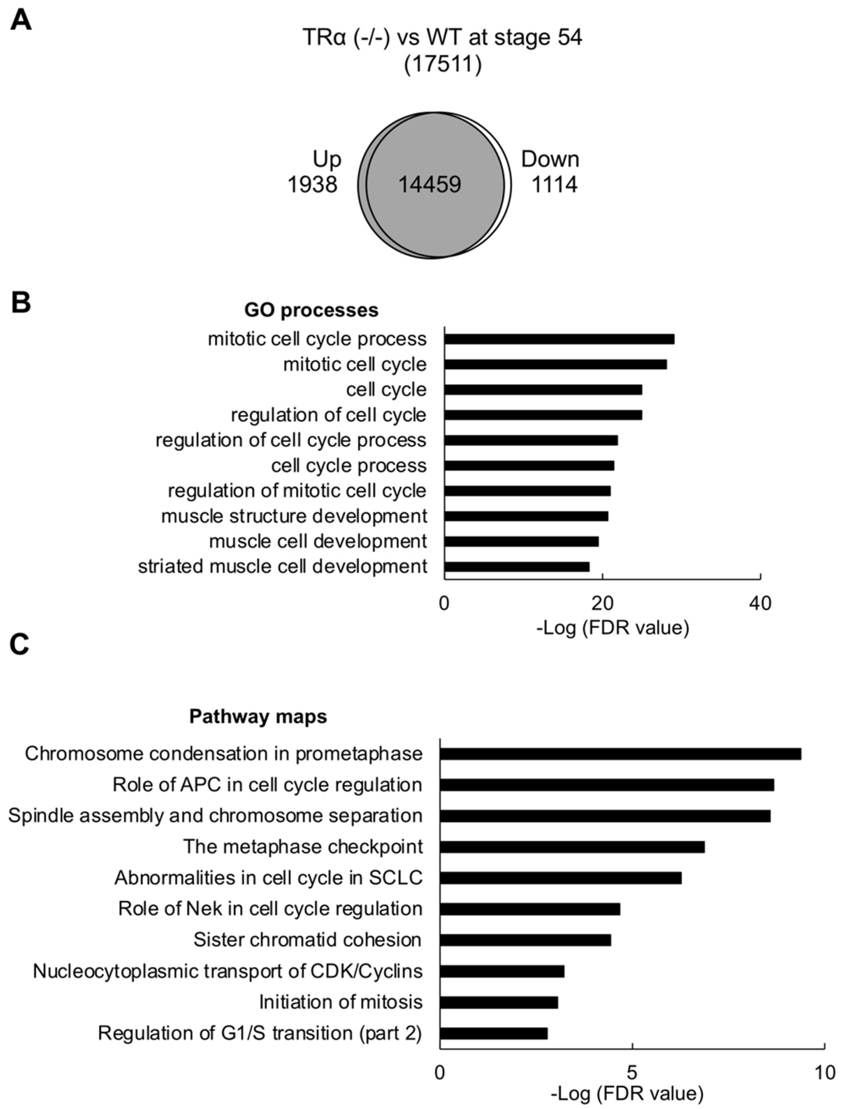Ijms 23 01223 g004 Ijms 23 01223 g004