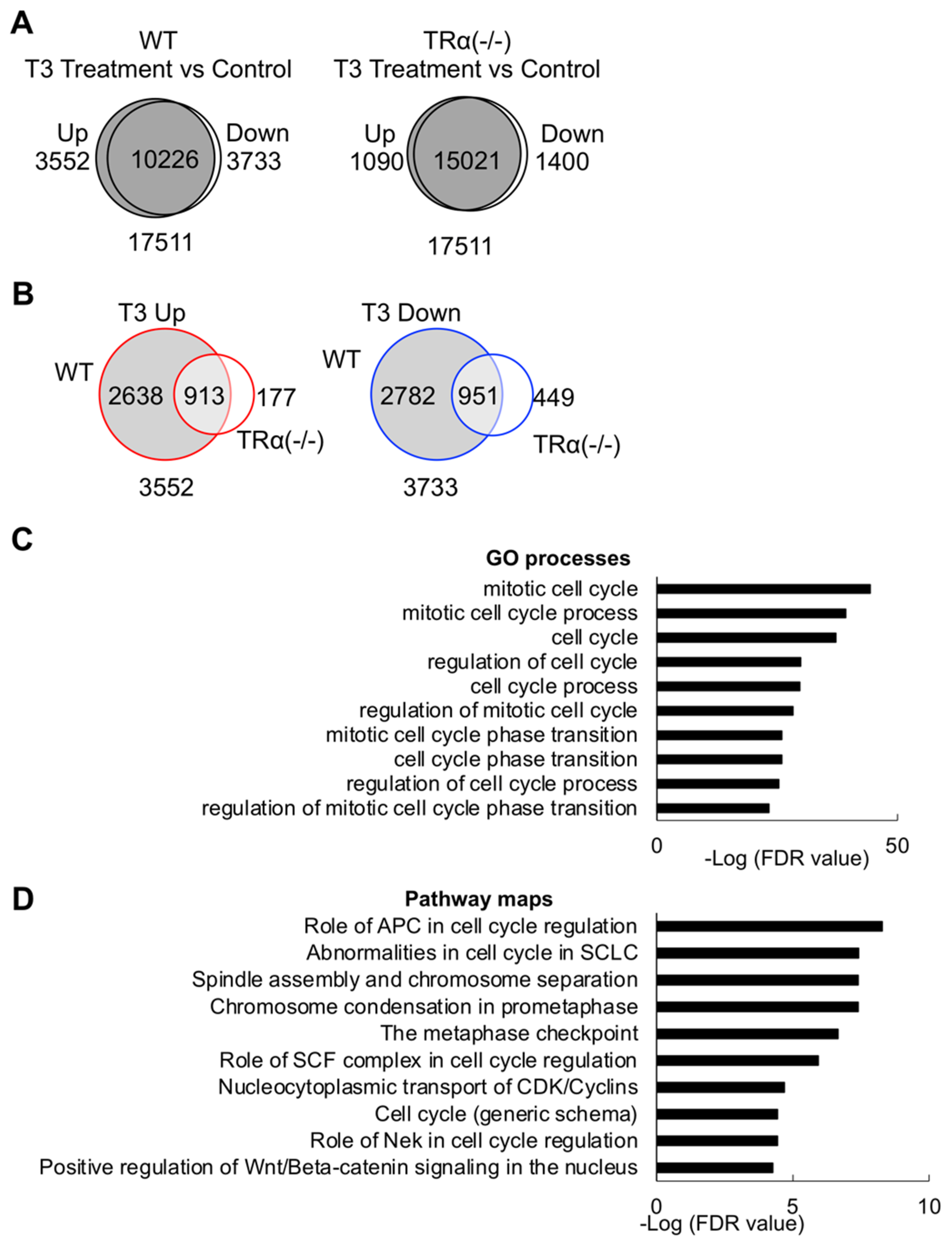Ijms 23 01223 g005 Ijms 23 01223 g005