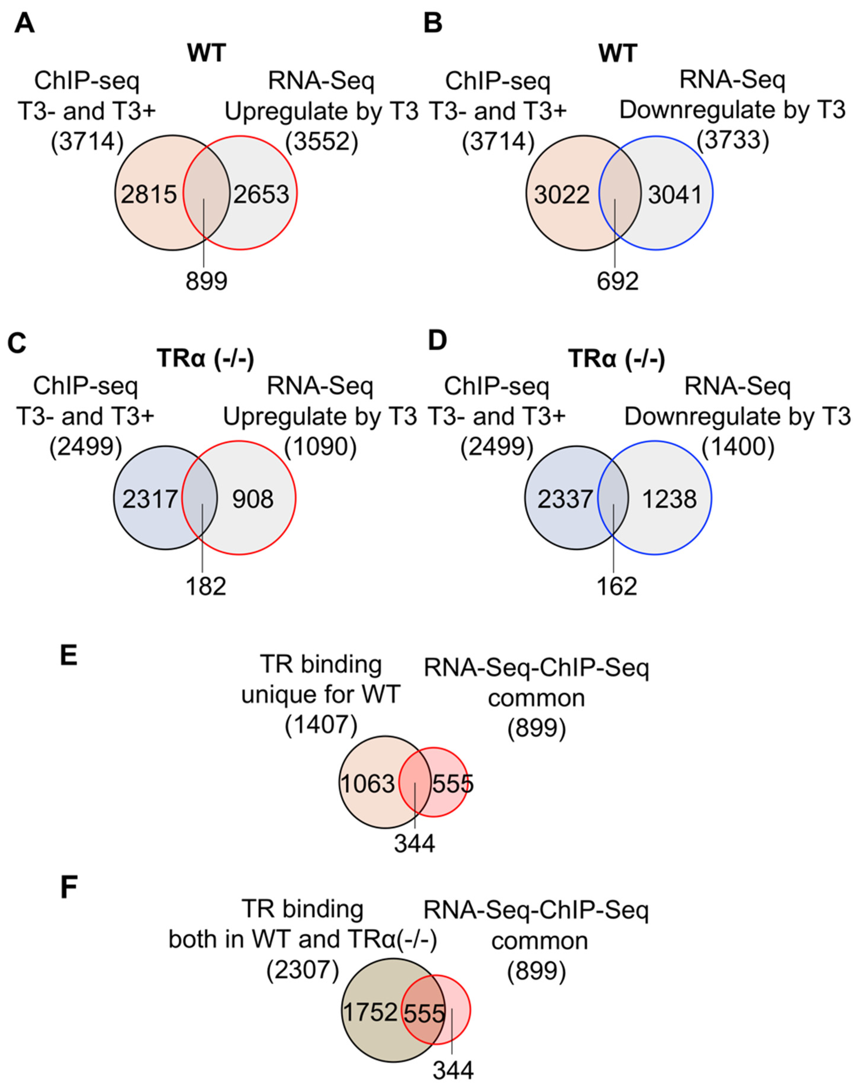 Ijms 23 01223 g006 Ijms 23 01223 g006