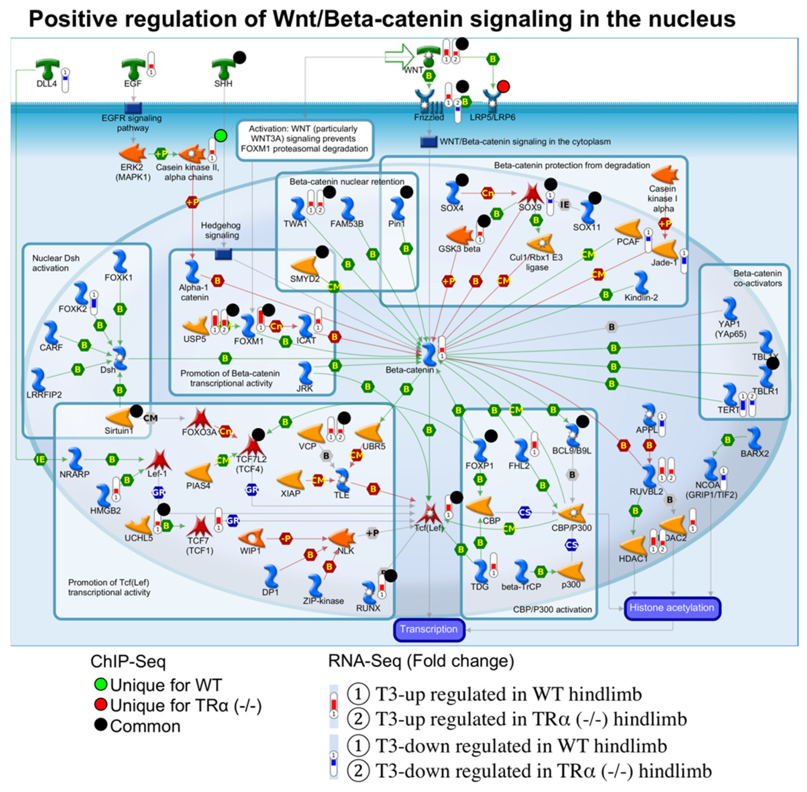 Ijms 23 01223 g008 Ijms 23 01223 g008