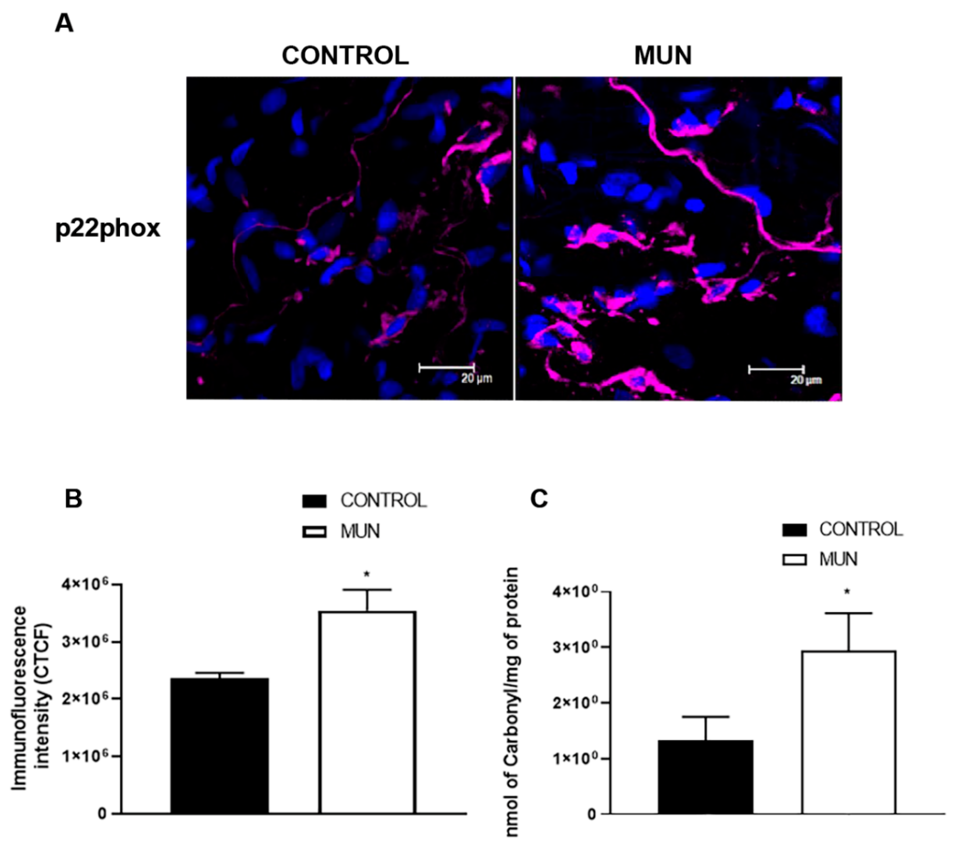 Ijms 23 01233 g004 Ijms 23 01233 g004