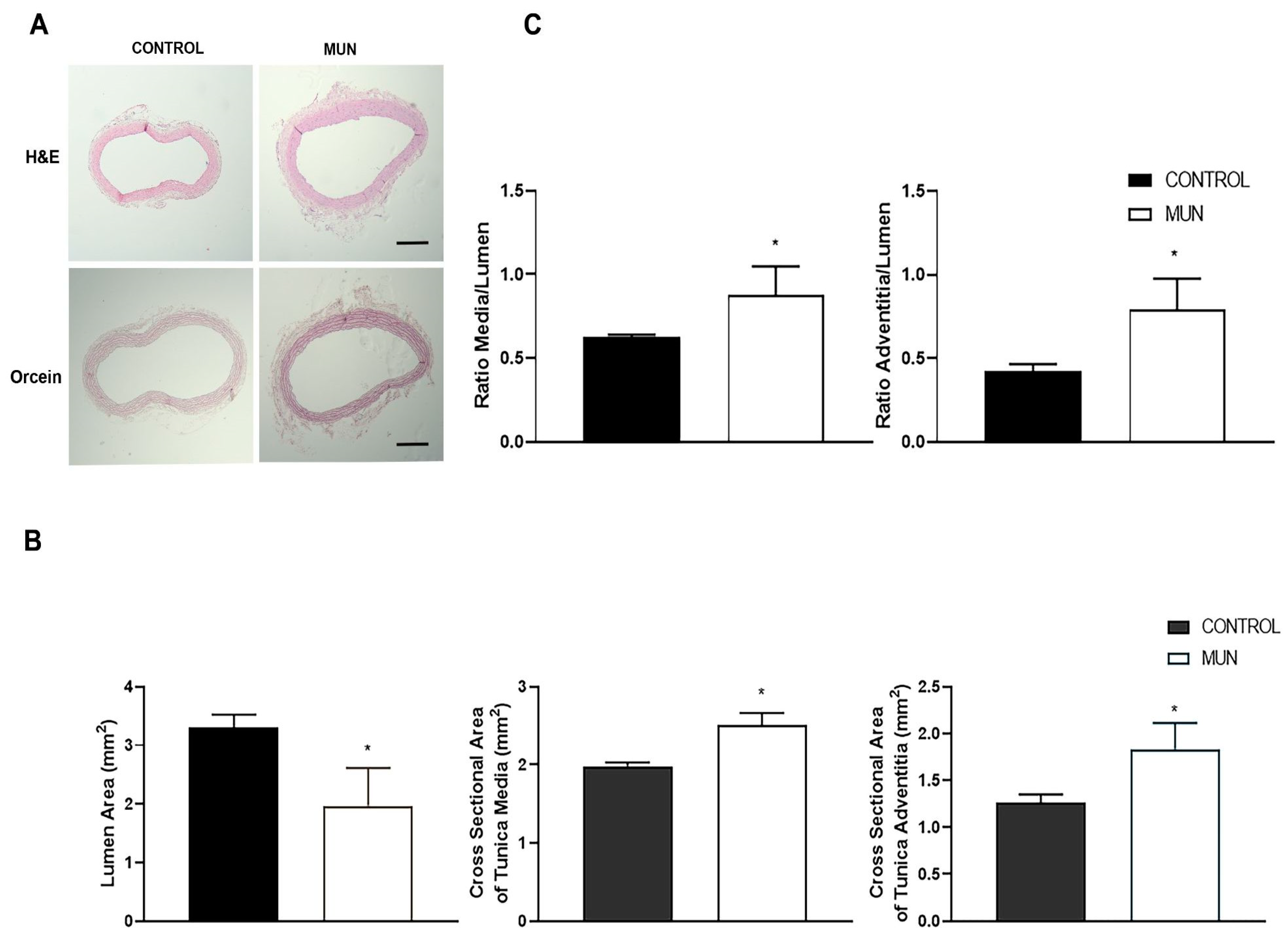 Ijms 23 01233 g006 Ijms 23 01233 g006