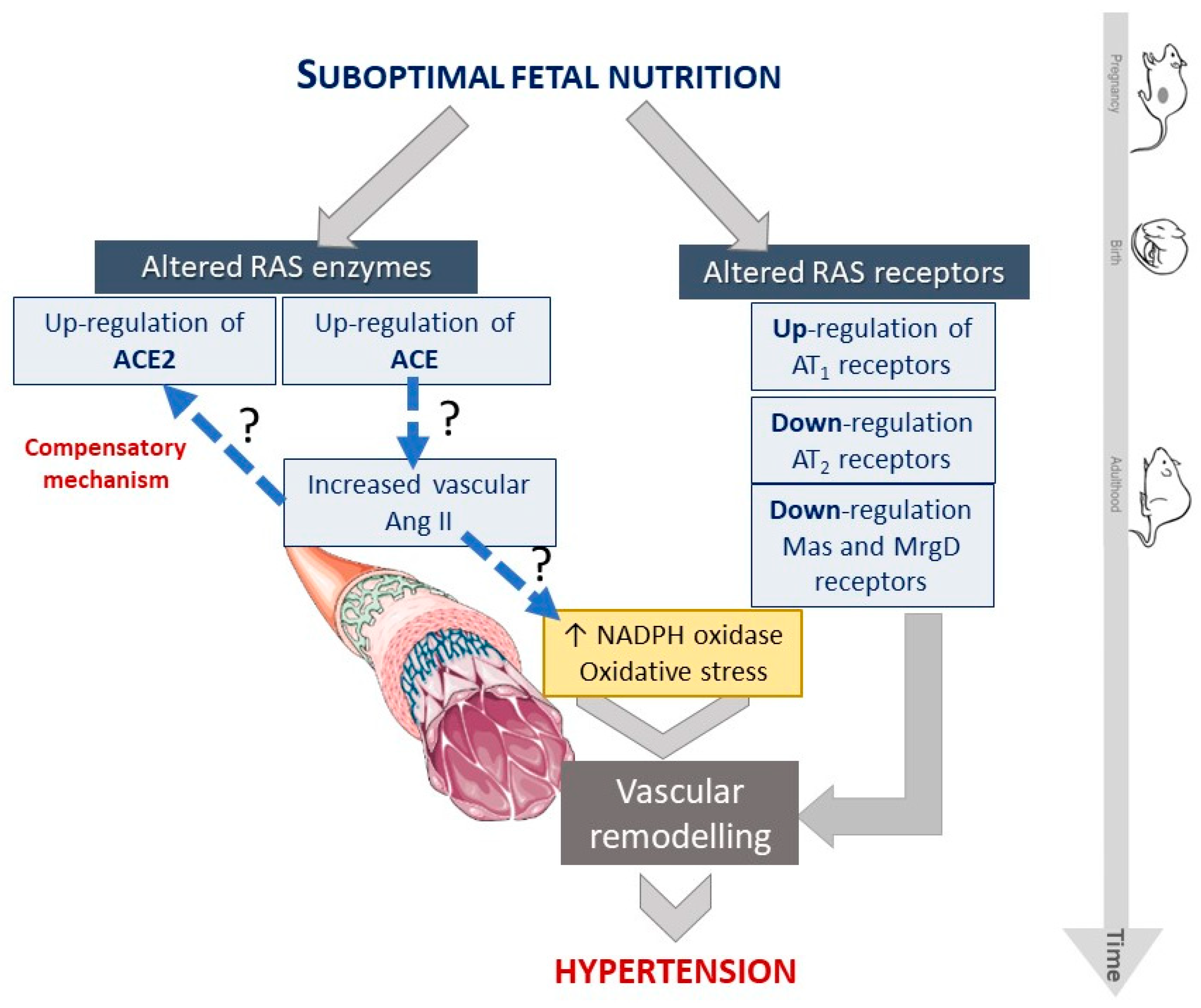 Ijms 23 01233 g007 Ijms 23 01233 g007