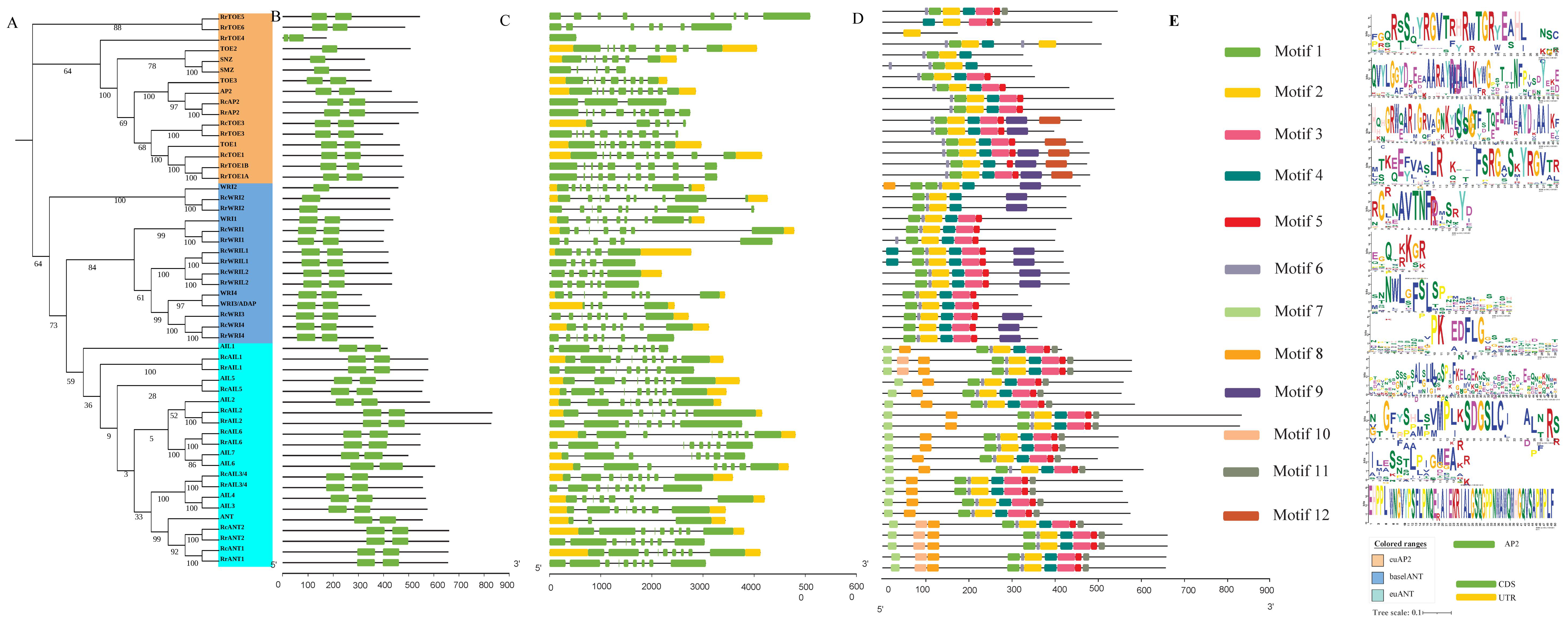 Ijms 23 01236 g001 550