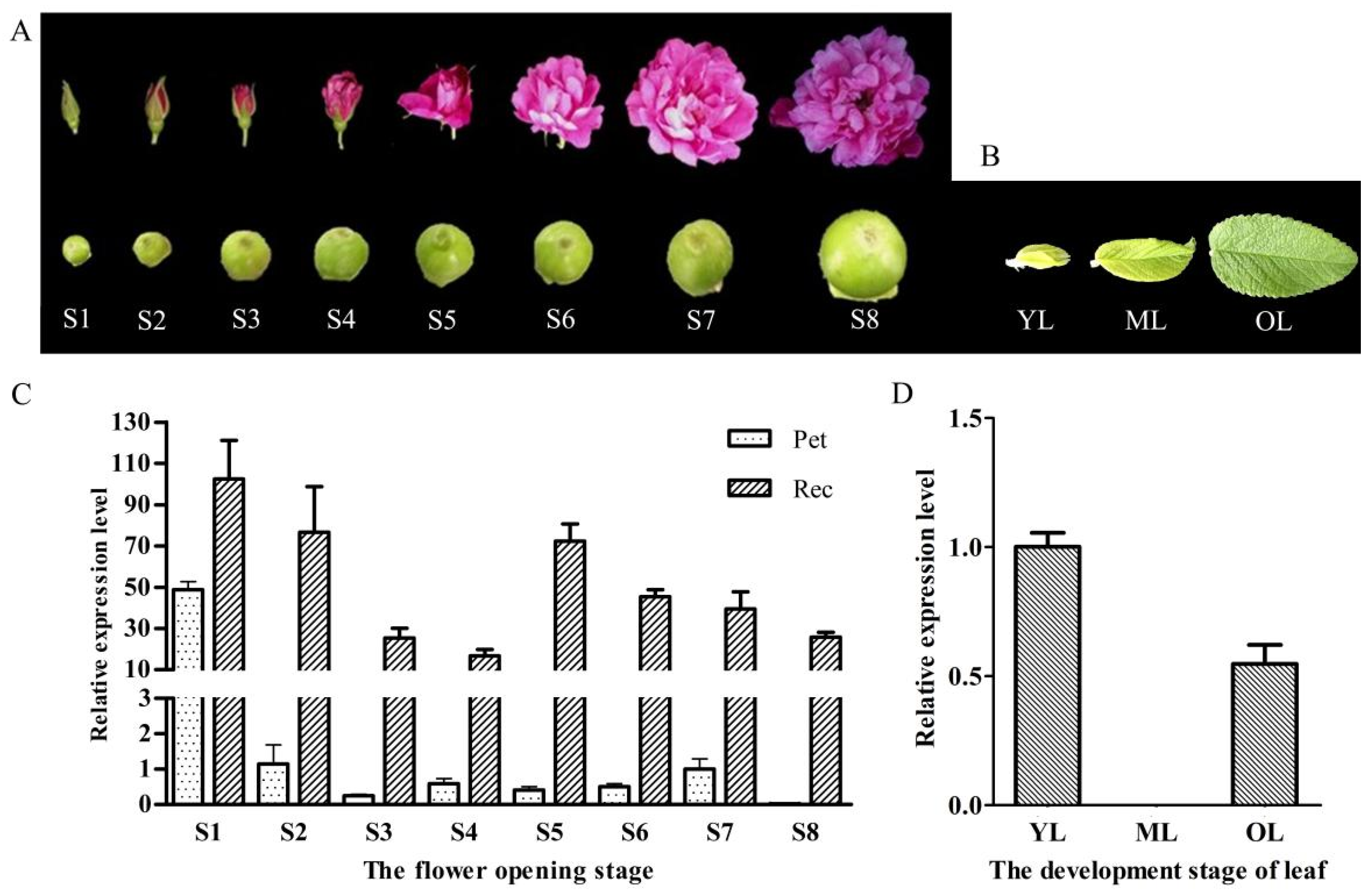 Ijms 23 01236 g003 550
