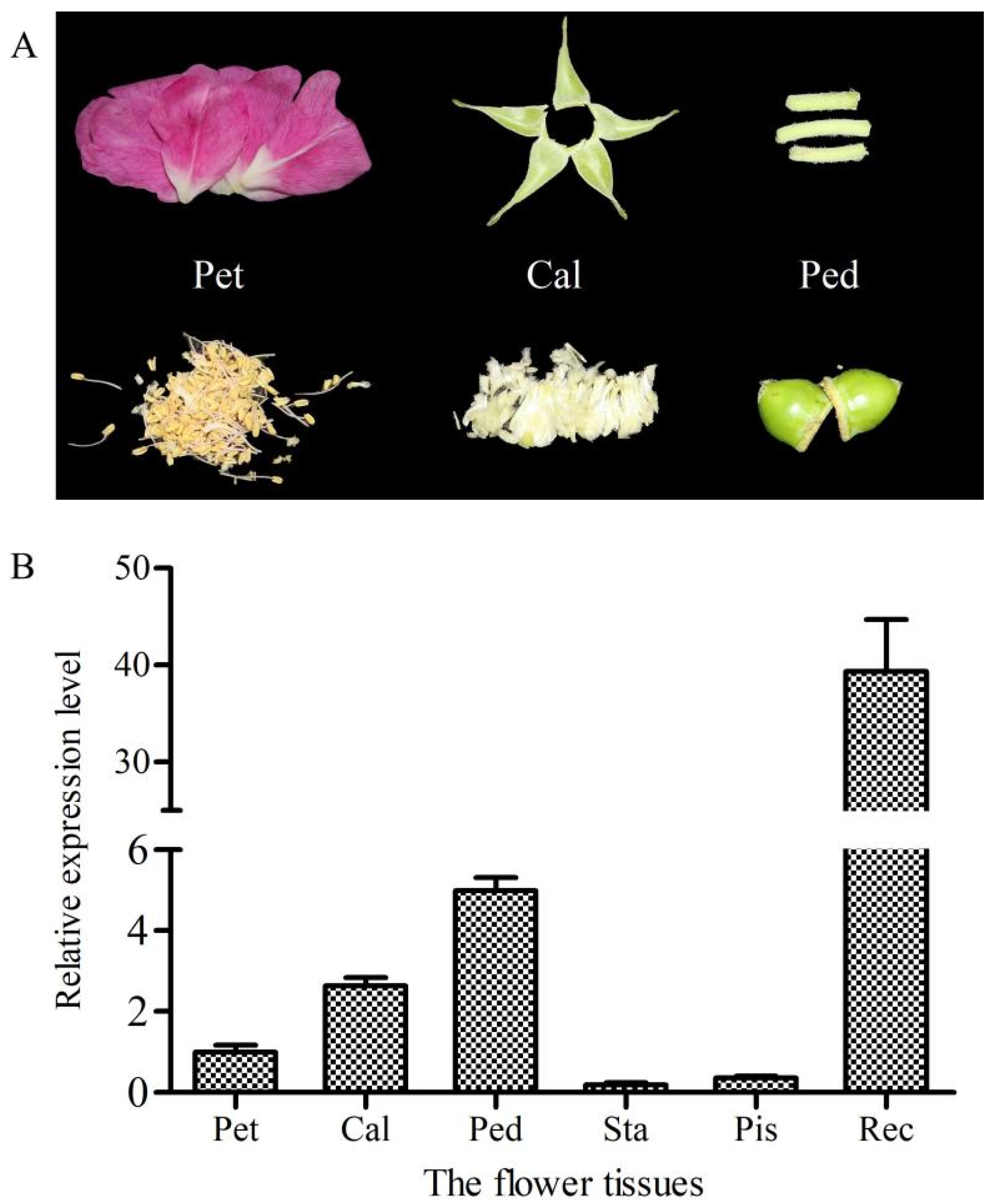 Ijms 23 01236 g004 550
