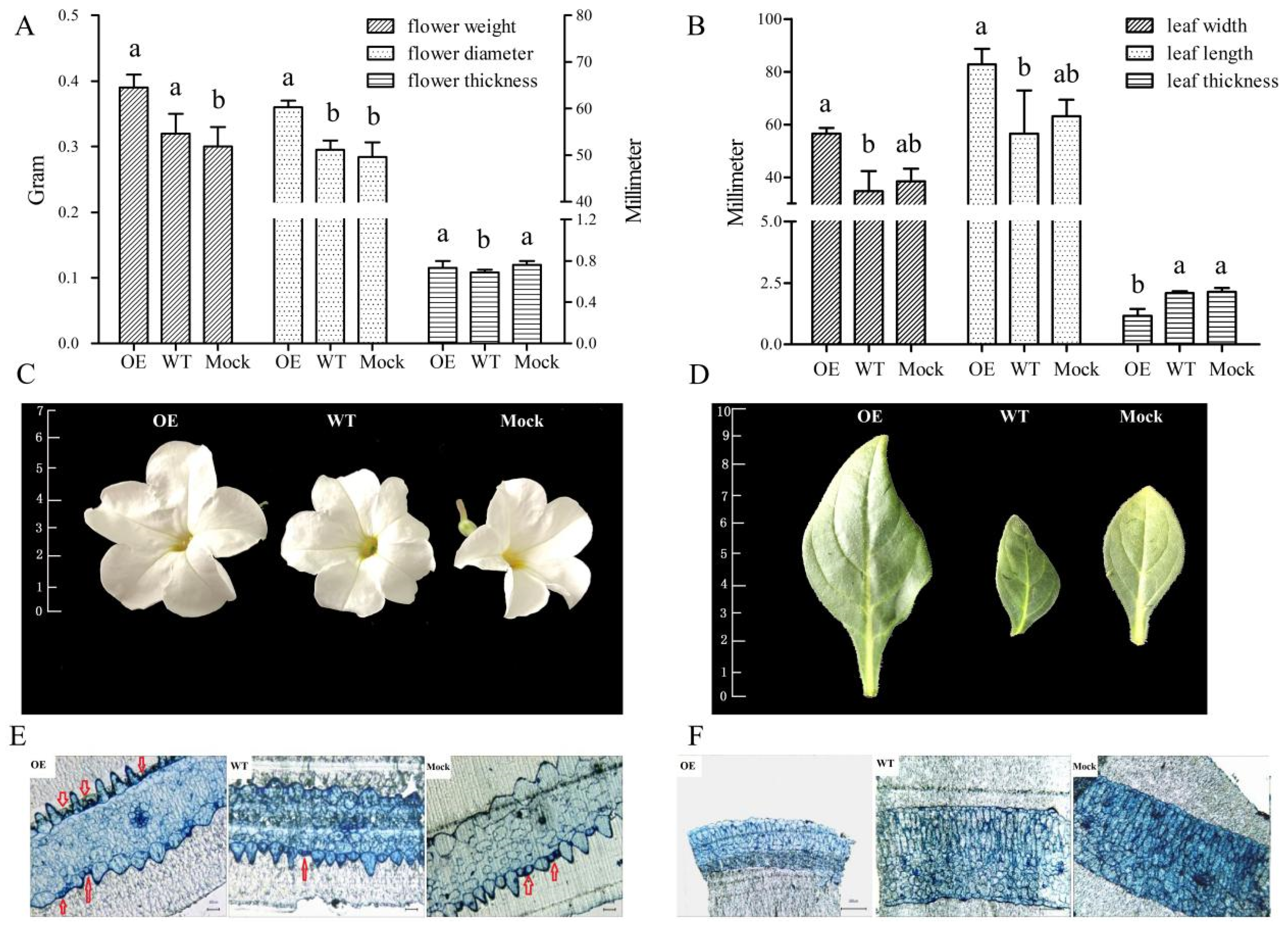 Ijms 23 01236 g006 550