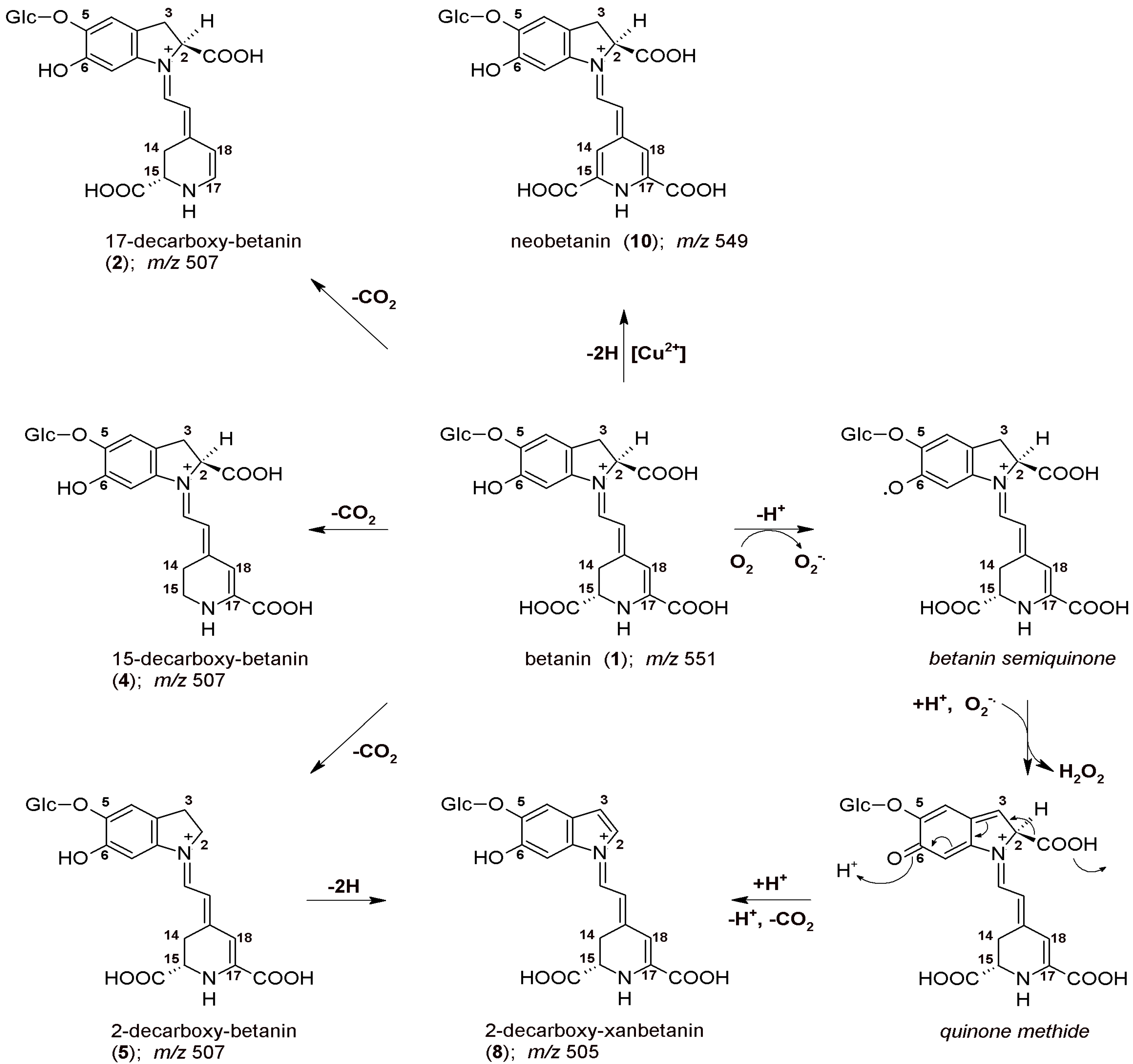 Ijms 23 01245 g001 550