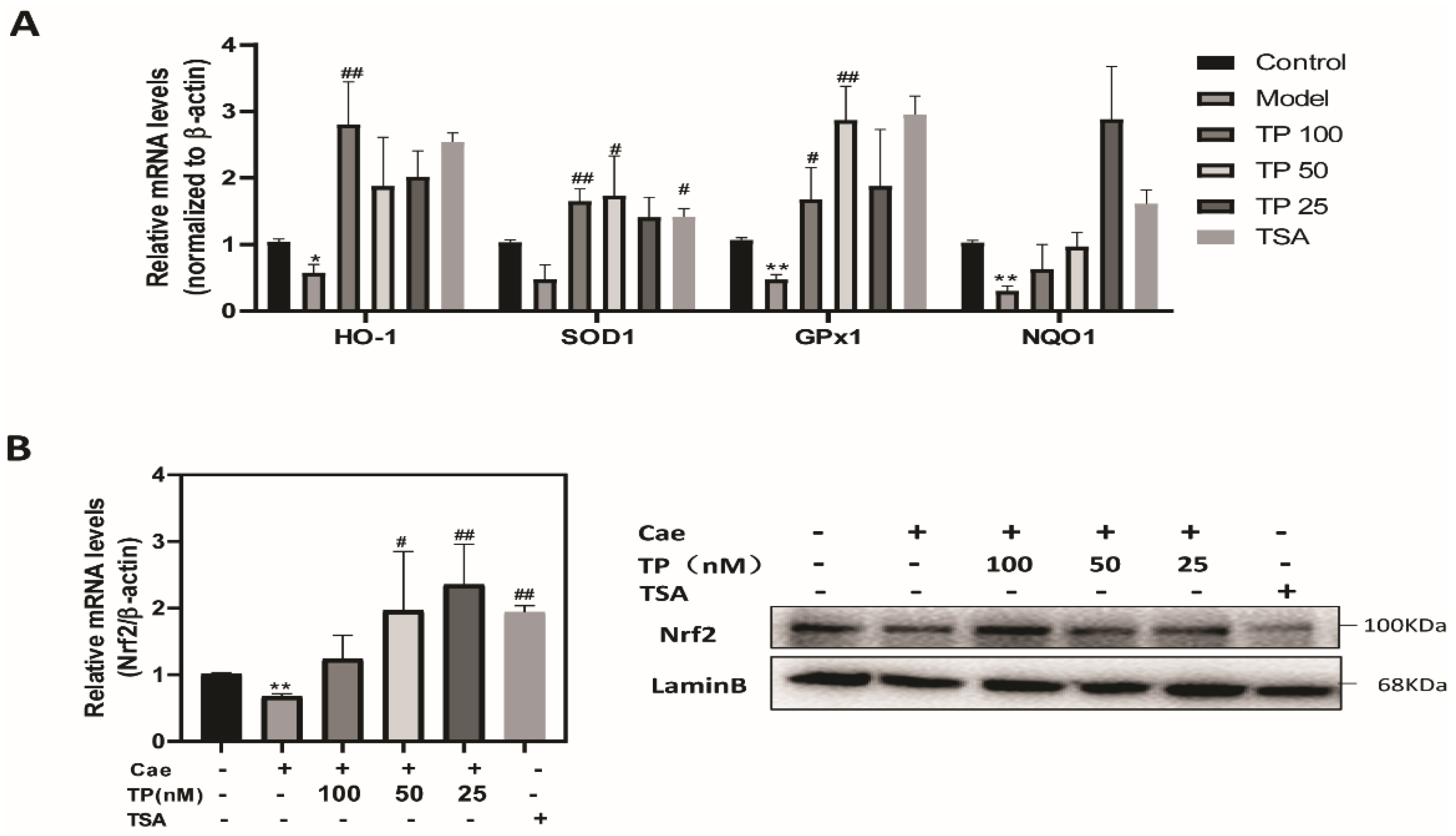 Ijms 23 01252 g007 550