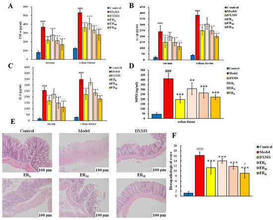 オーラル Coptisine inhibits neointimal hyperplasia through