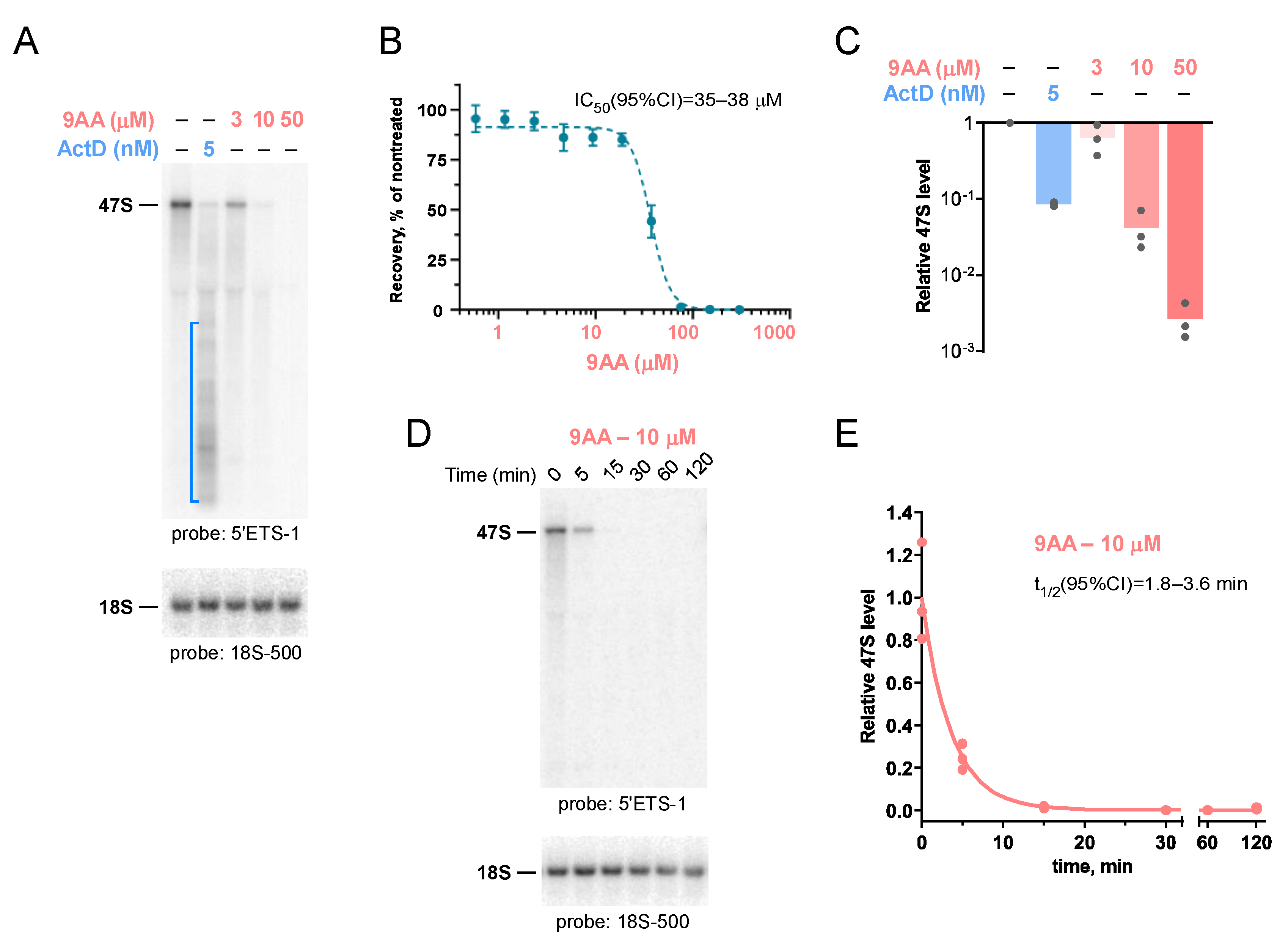 Ijms 23 01260 g001 Ijms 23 01260 g001