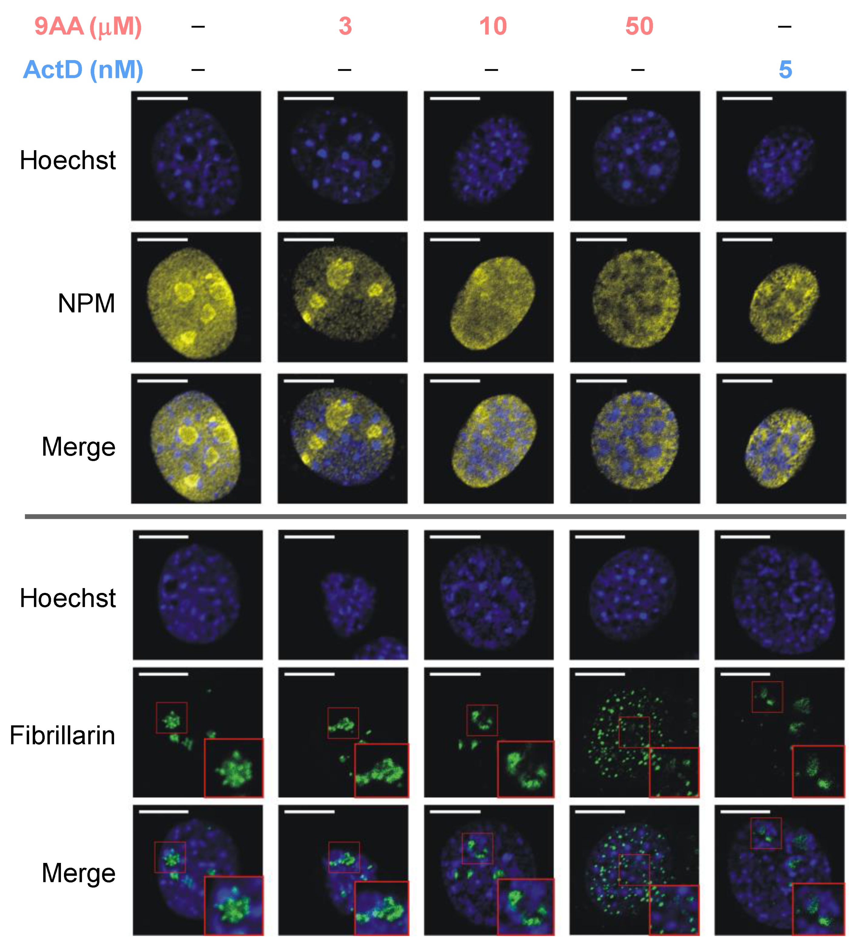 Ijms 23 01260 g002 Ijms 23 01260 g002