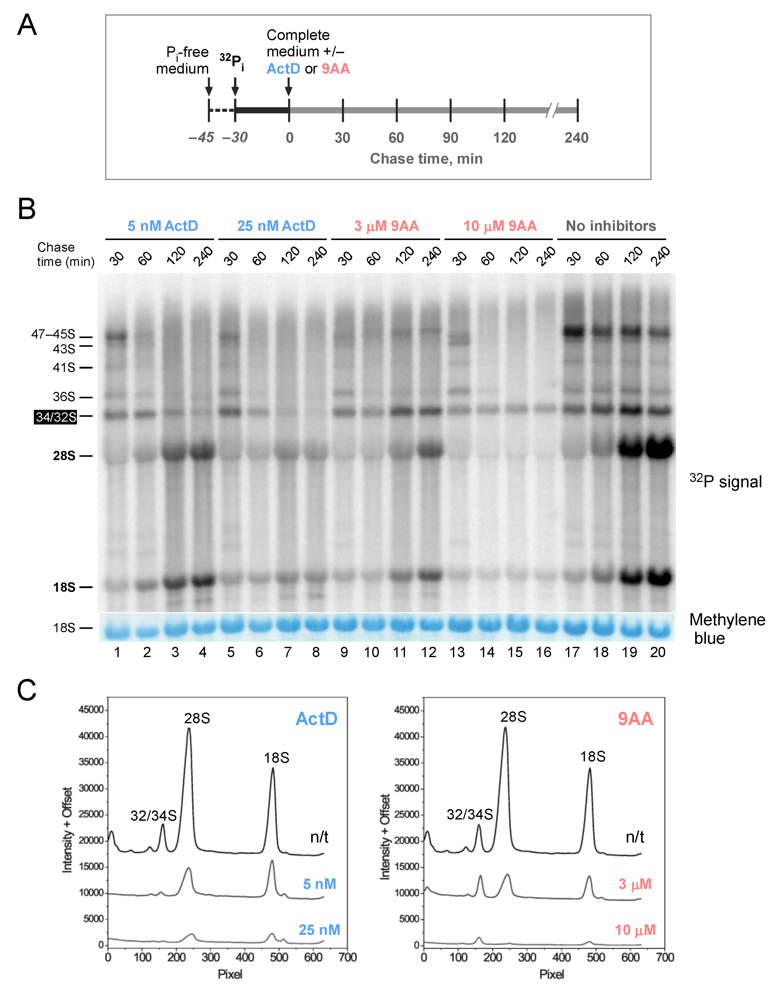 Ijms 23 01260 g003 Ijms 23 01260 g003