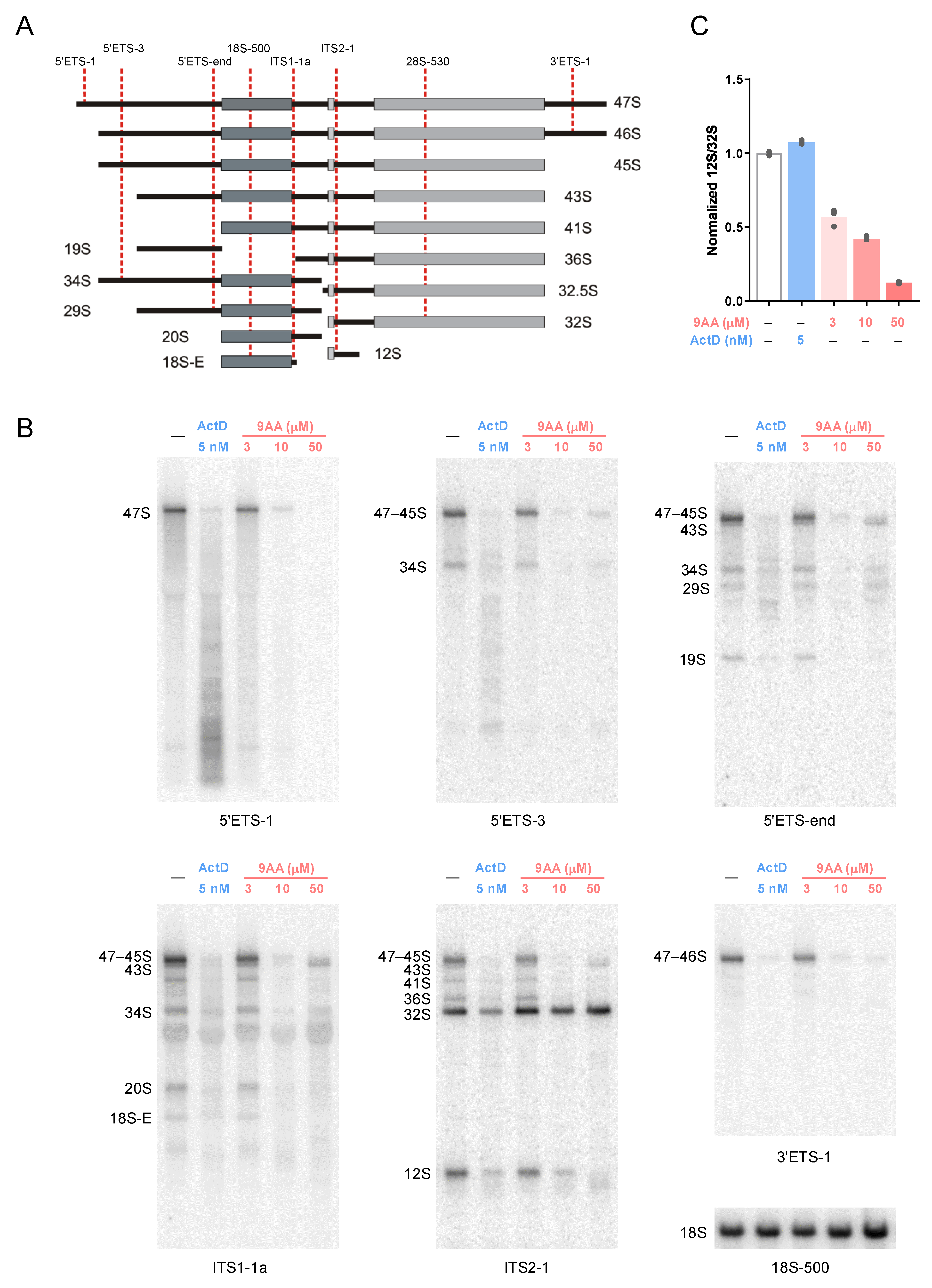 Ijms 23 01260 g004 Ijms 23 01260 g004