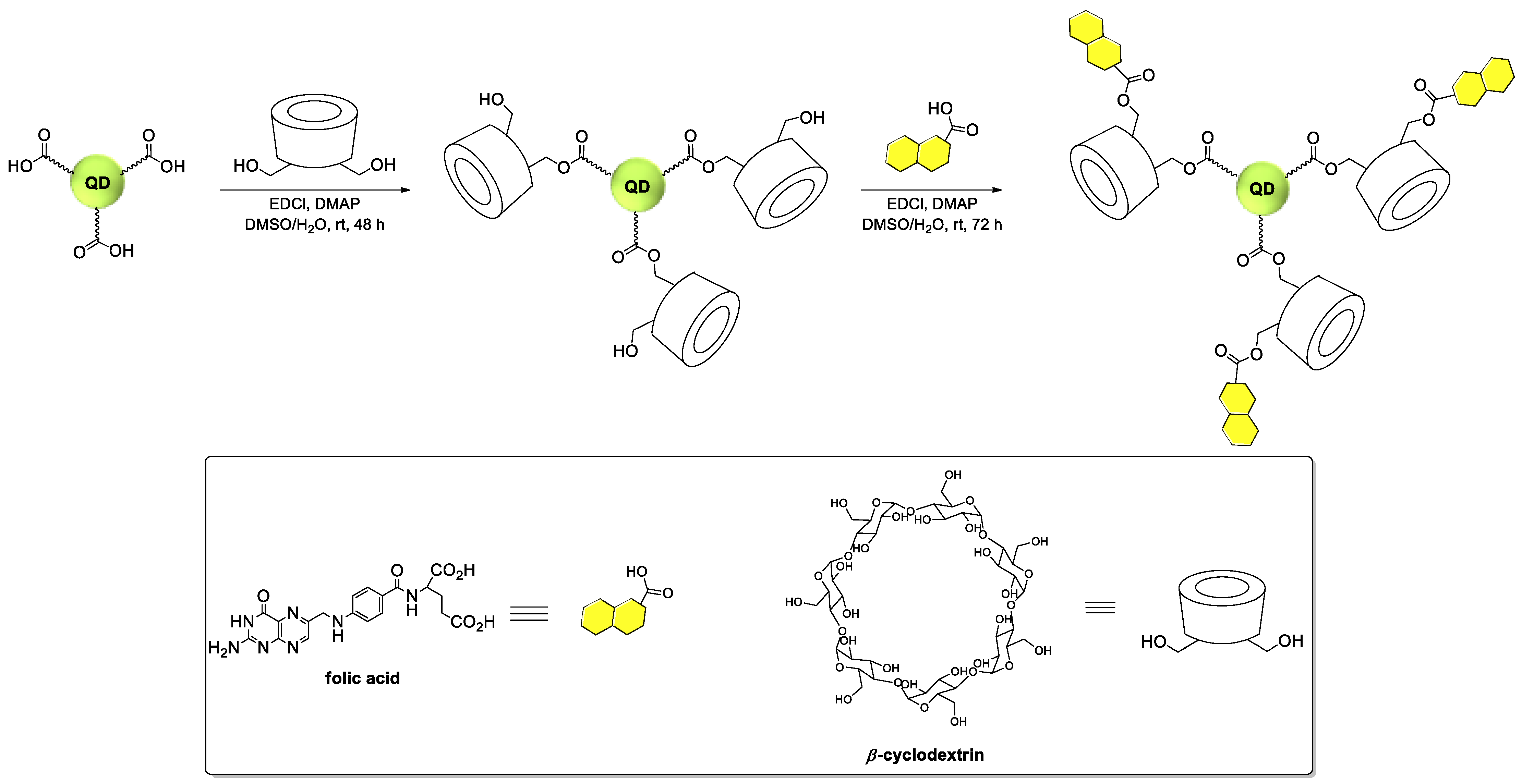 Ijms 23 01261 g007 Ijms 23 01261 g007
