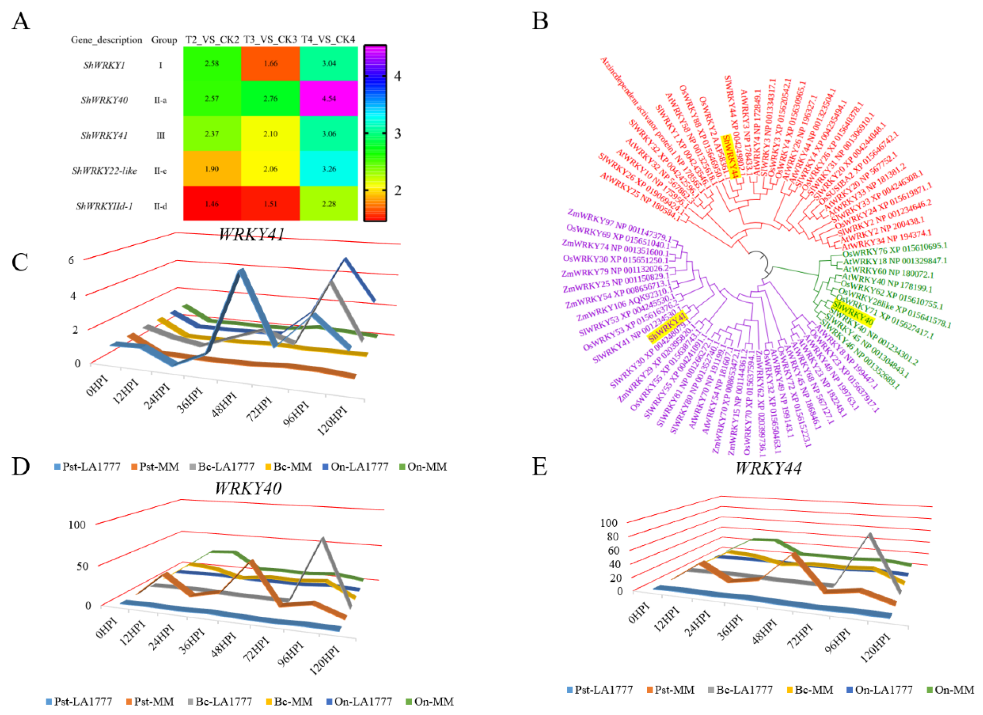 Ijms 23 01267 g003 550