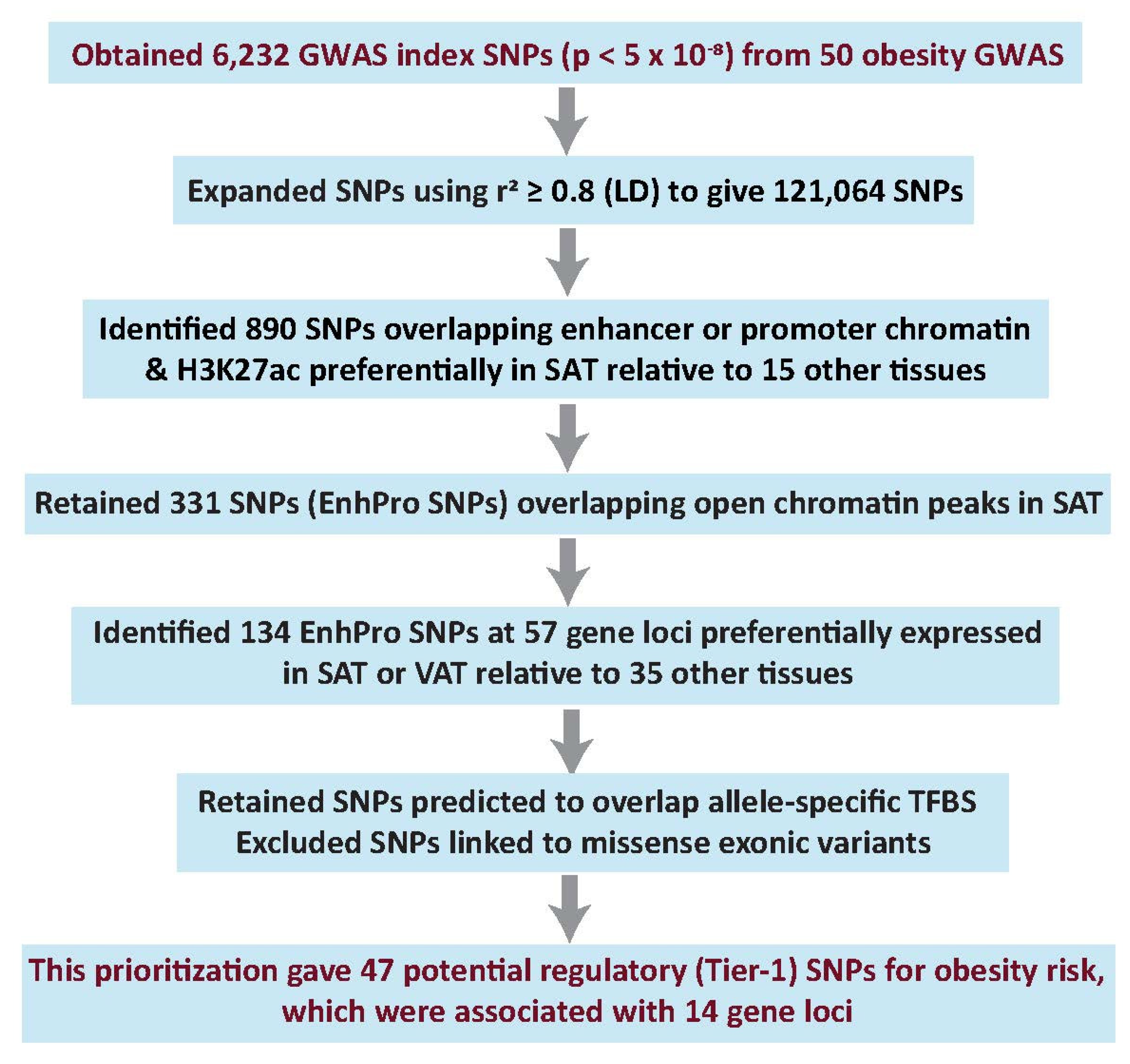 Ijms 23 01271 g001 Ijms 23 01271 g001