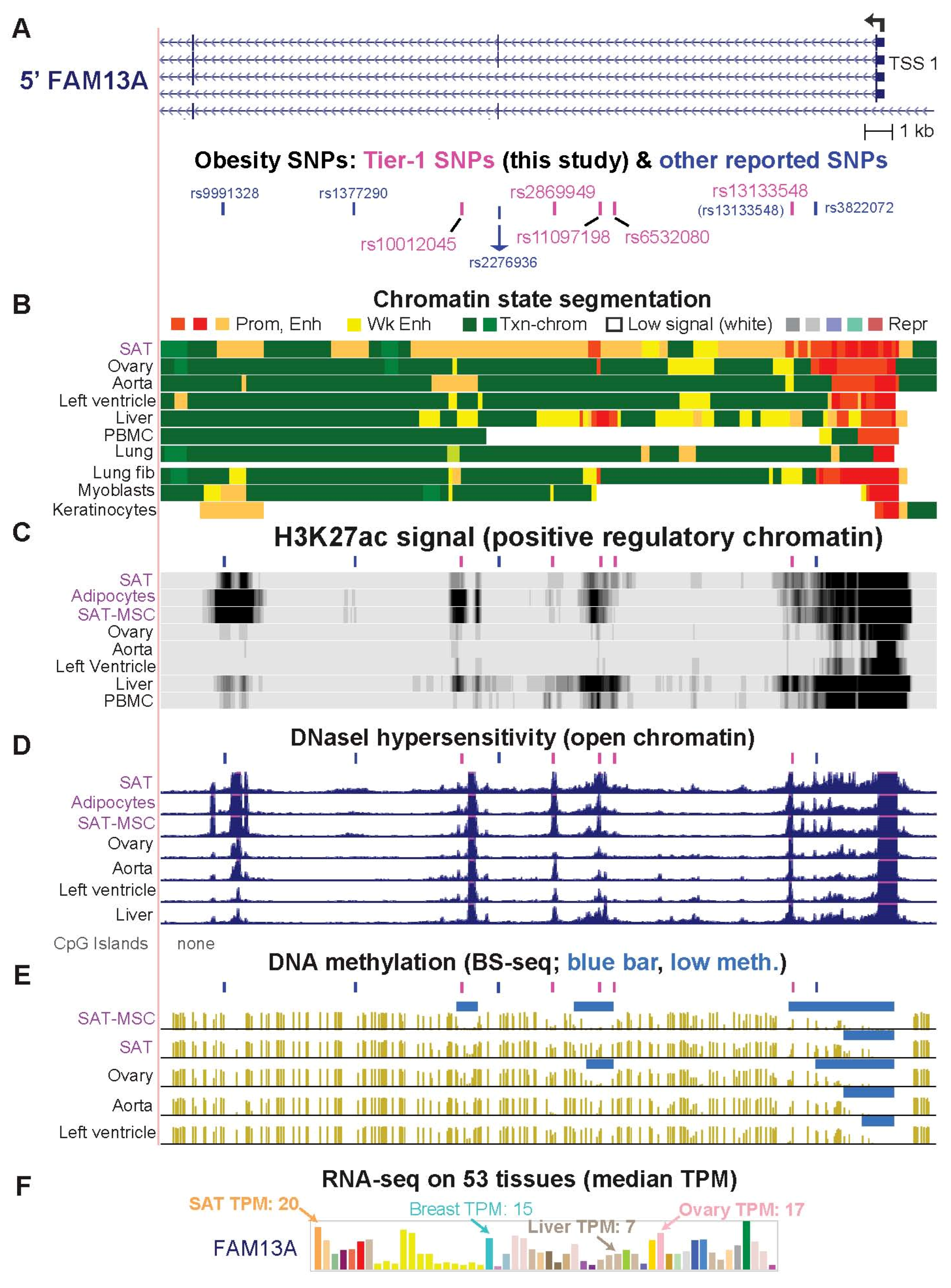 Ijms 23 01271 g003 Ijms 23 01271 g003