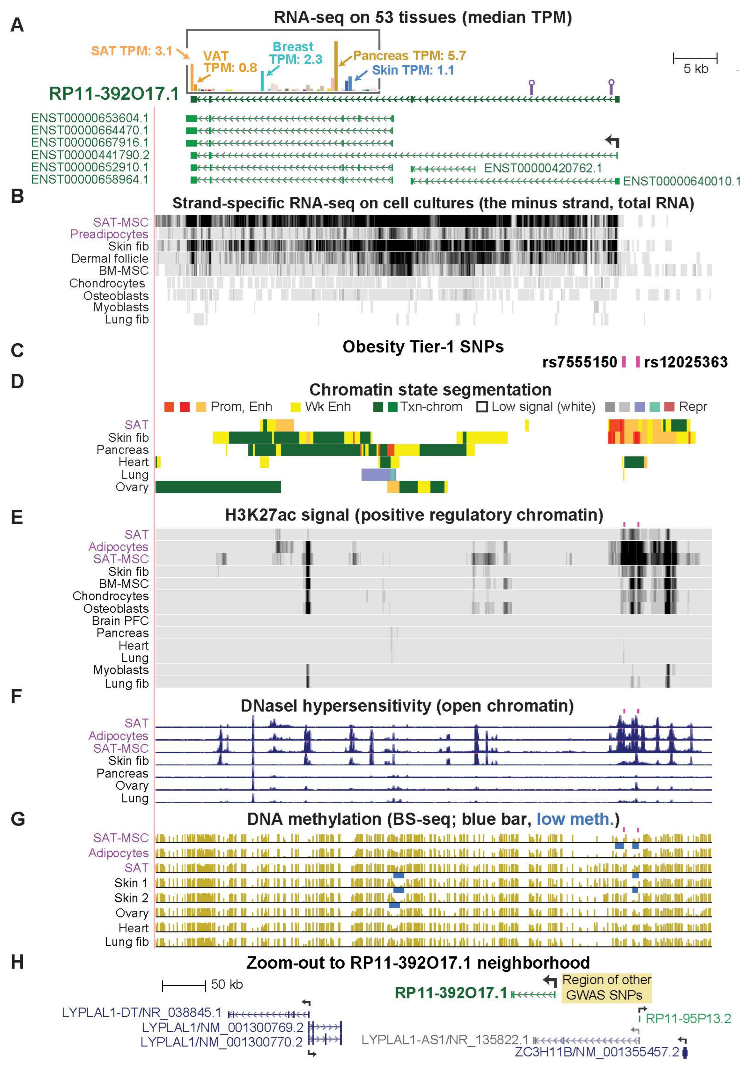 Ijms 23 01271 g004 Ijms 23 01271 g004