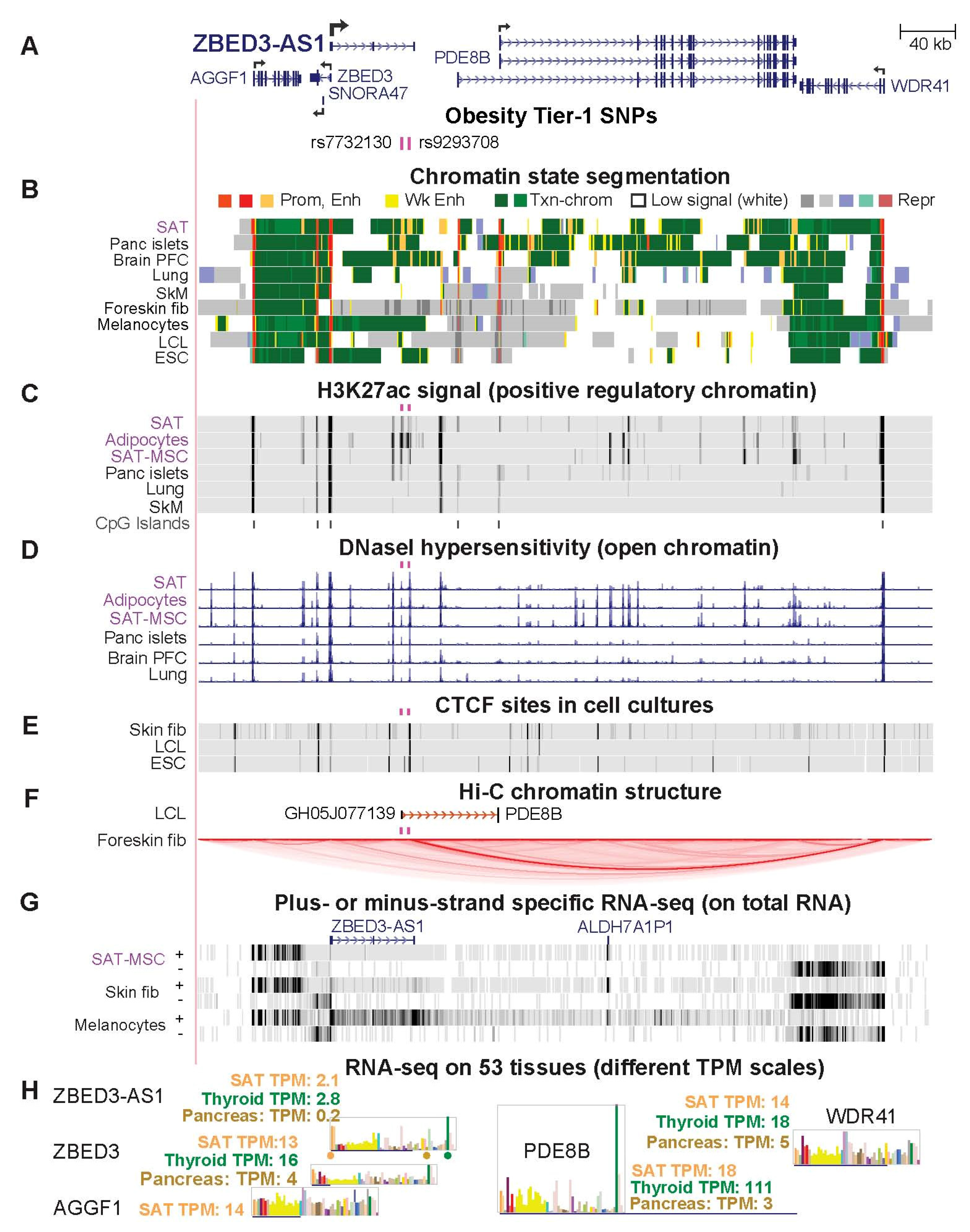 Ijms 23 01271 g005 Ijms 23 01271 g005