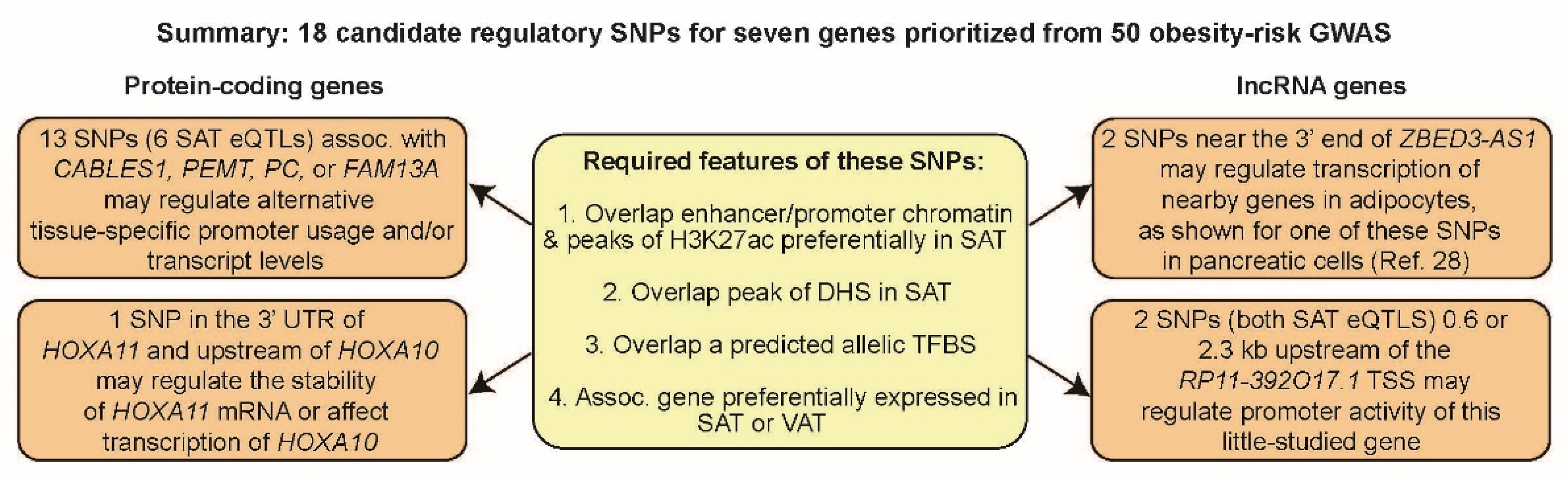 Ijms 23 01271 g006 Ijms 23 01271 g006