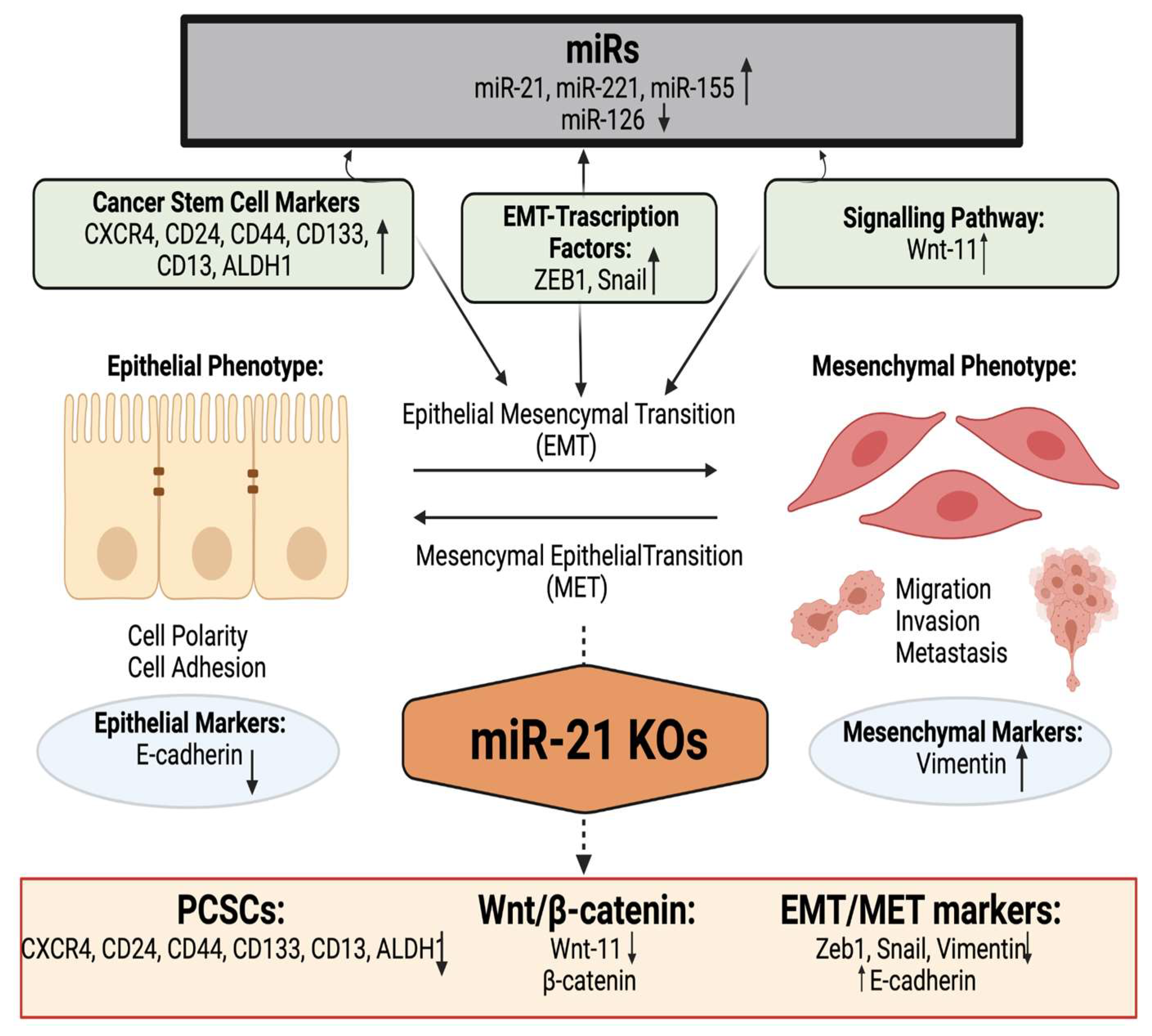 Ijms 23 01275 g008 Ijms 23 01275 g008