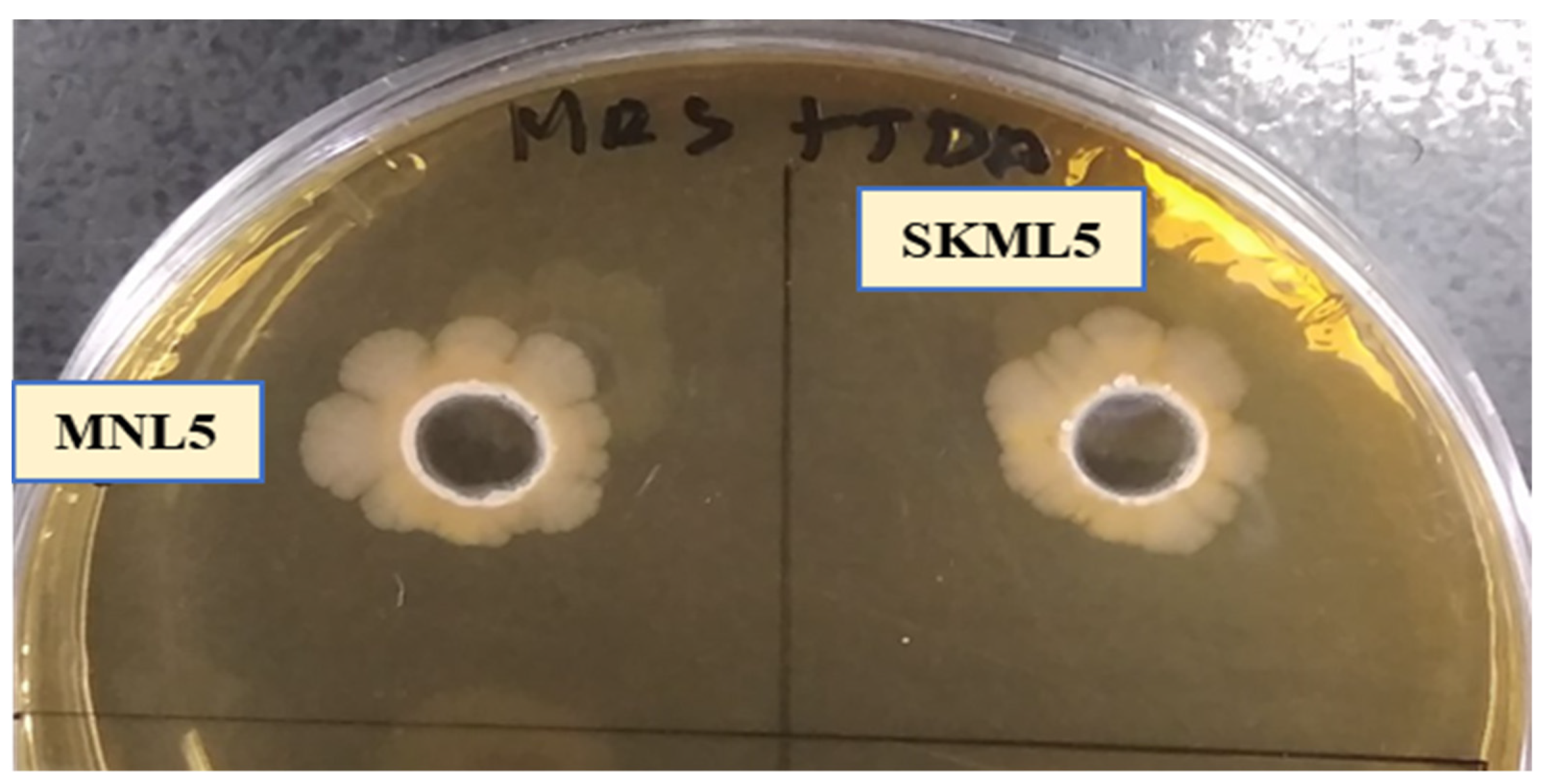 Ijms 23 01276 g001 550