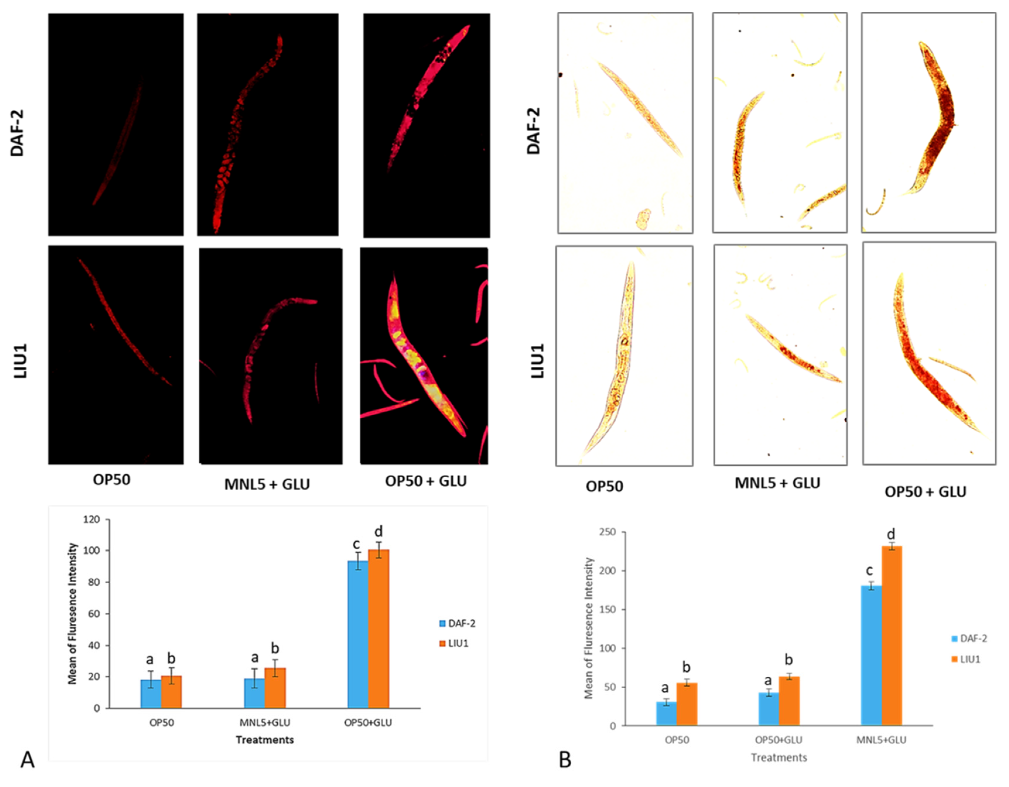 Ijms 23 01276 g006 550