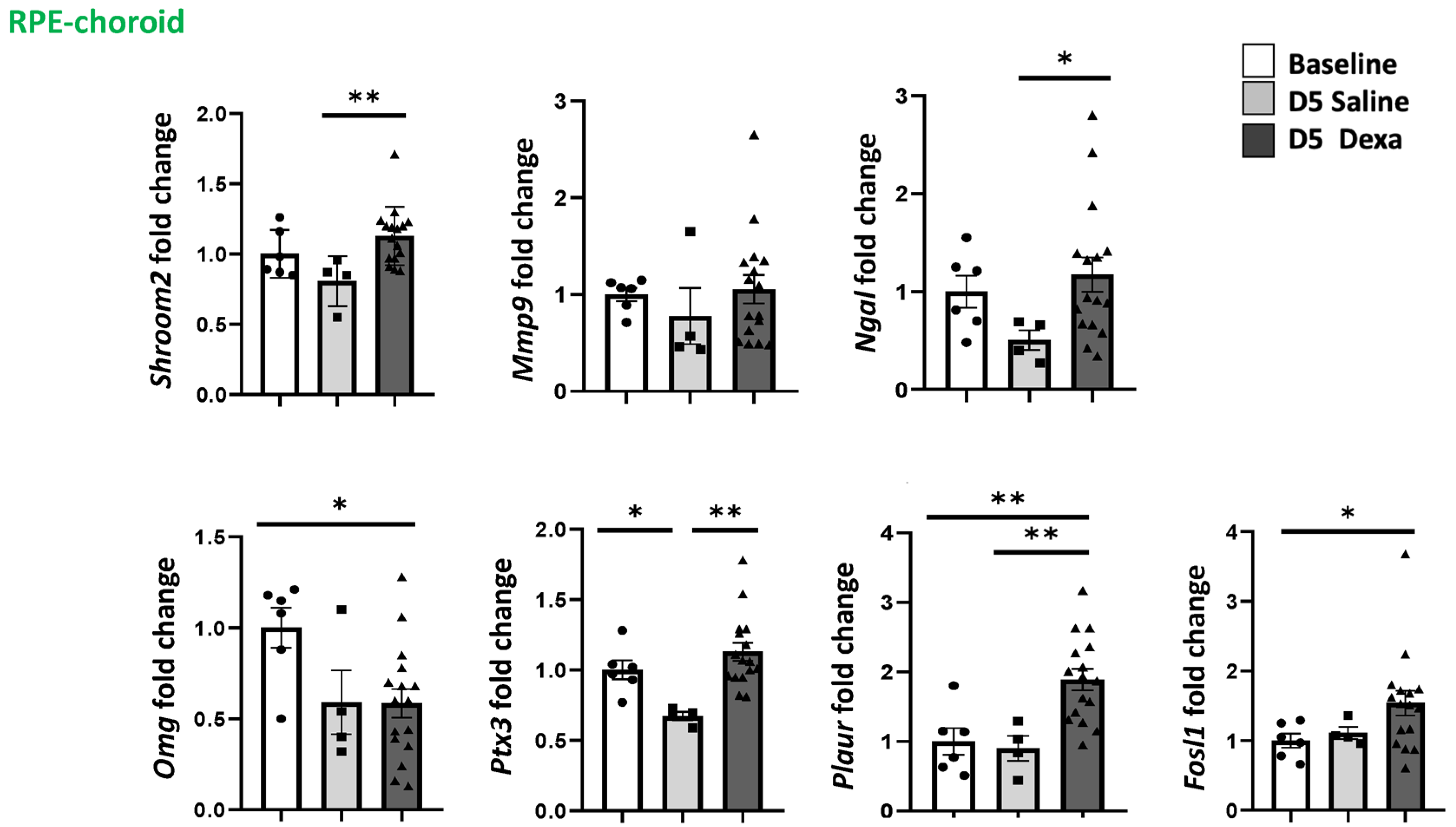 Ijms 23 01278 g005 550