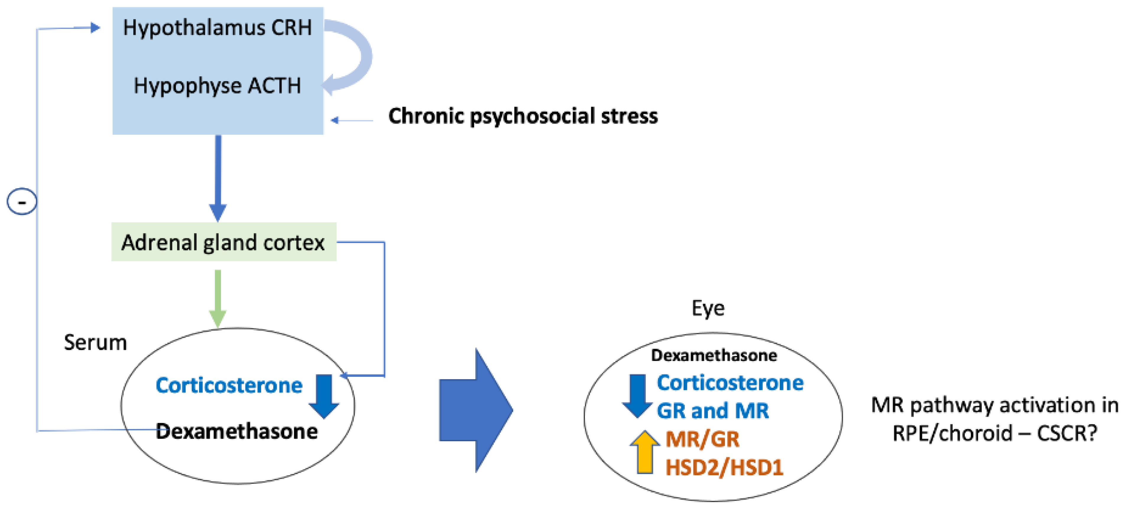 Ijms 23 01278 g006 550
