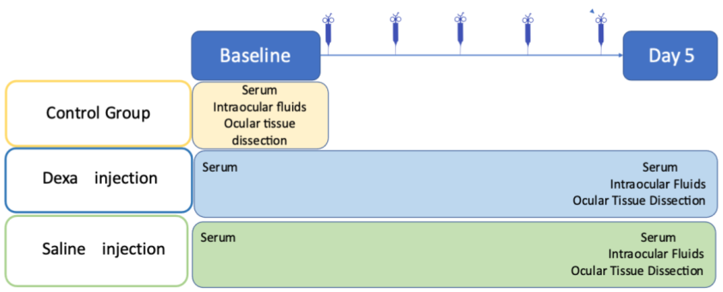 Ijms 23 01278 g007 550