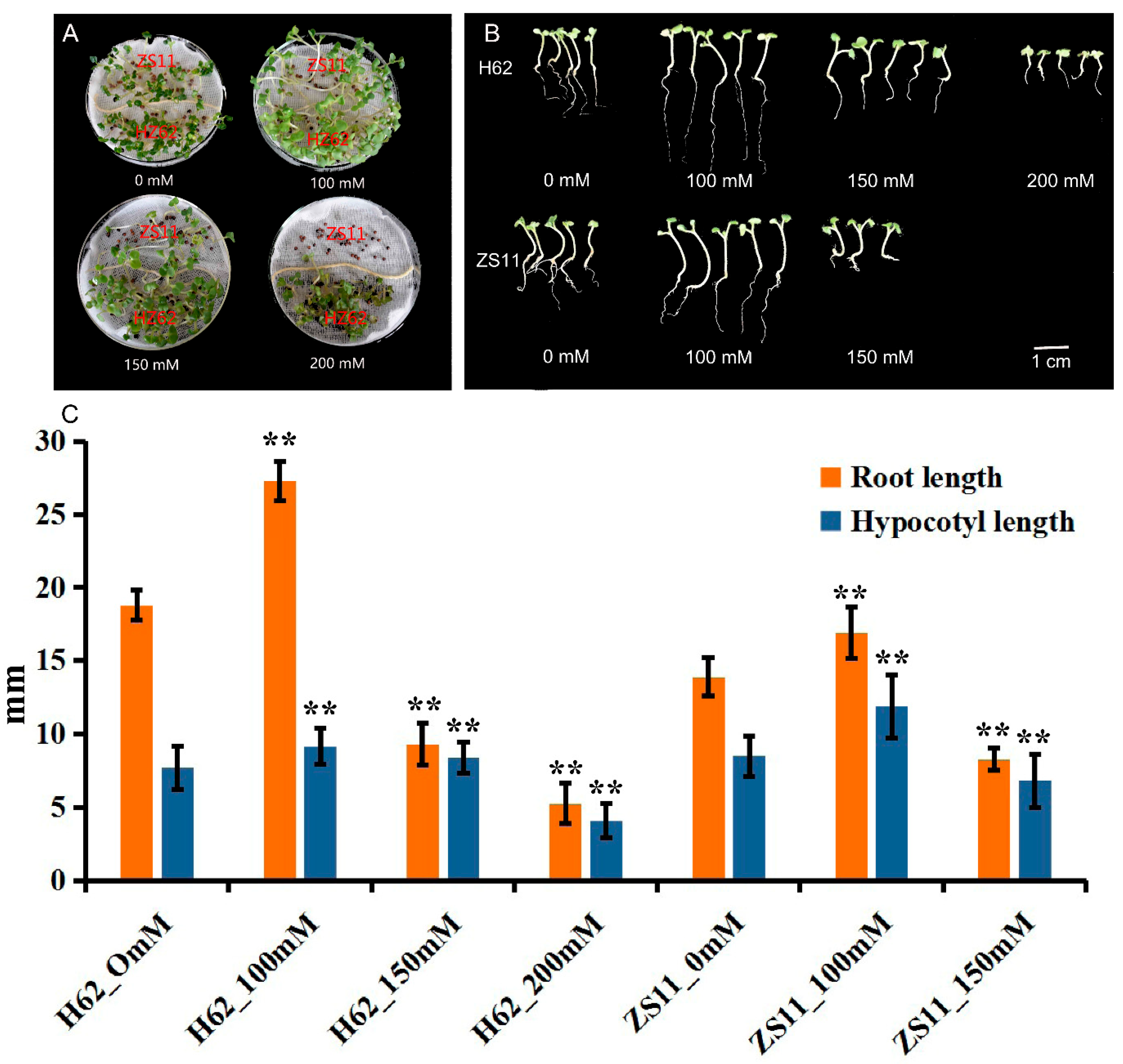 IJMS | Free Full-Text | Combined Transcriptomics and Metabolomics