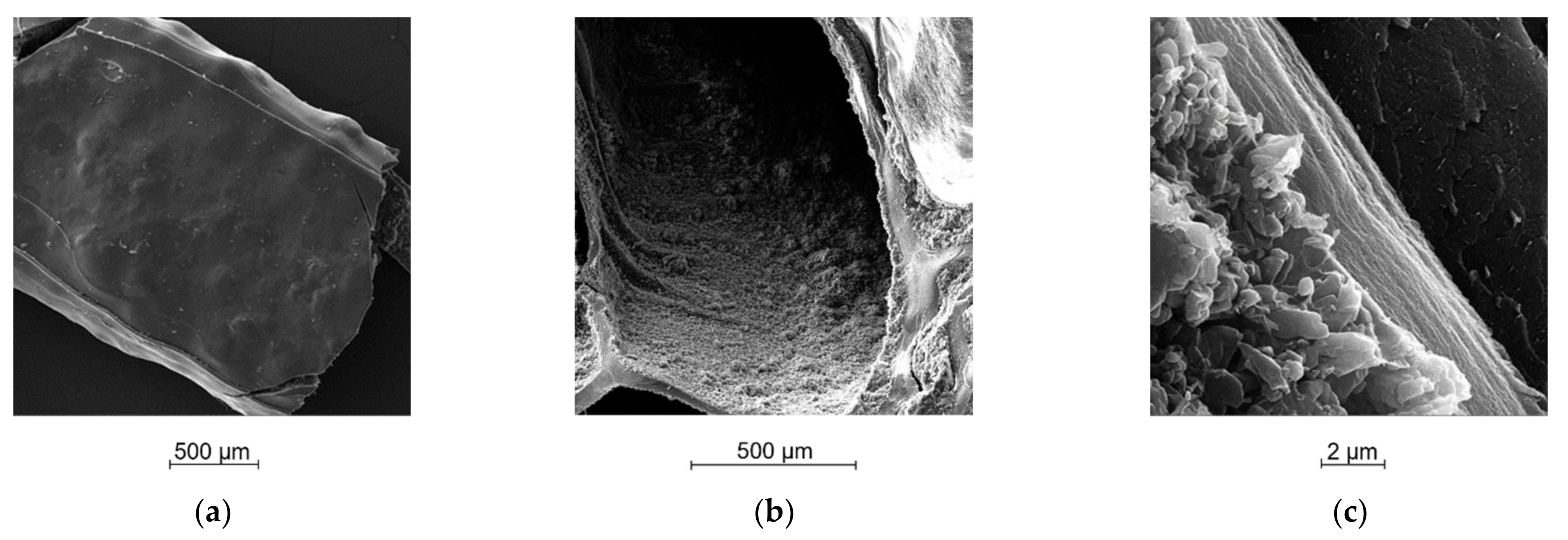 Ijms 23 01280 g005 550