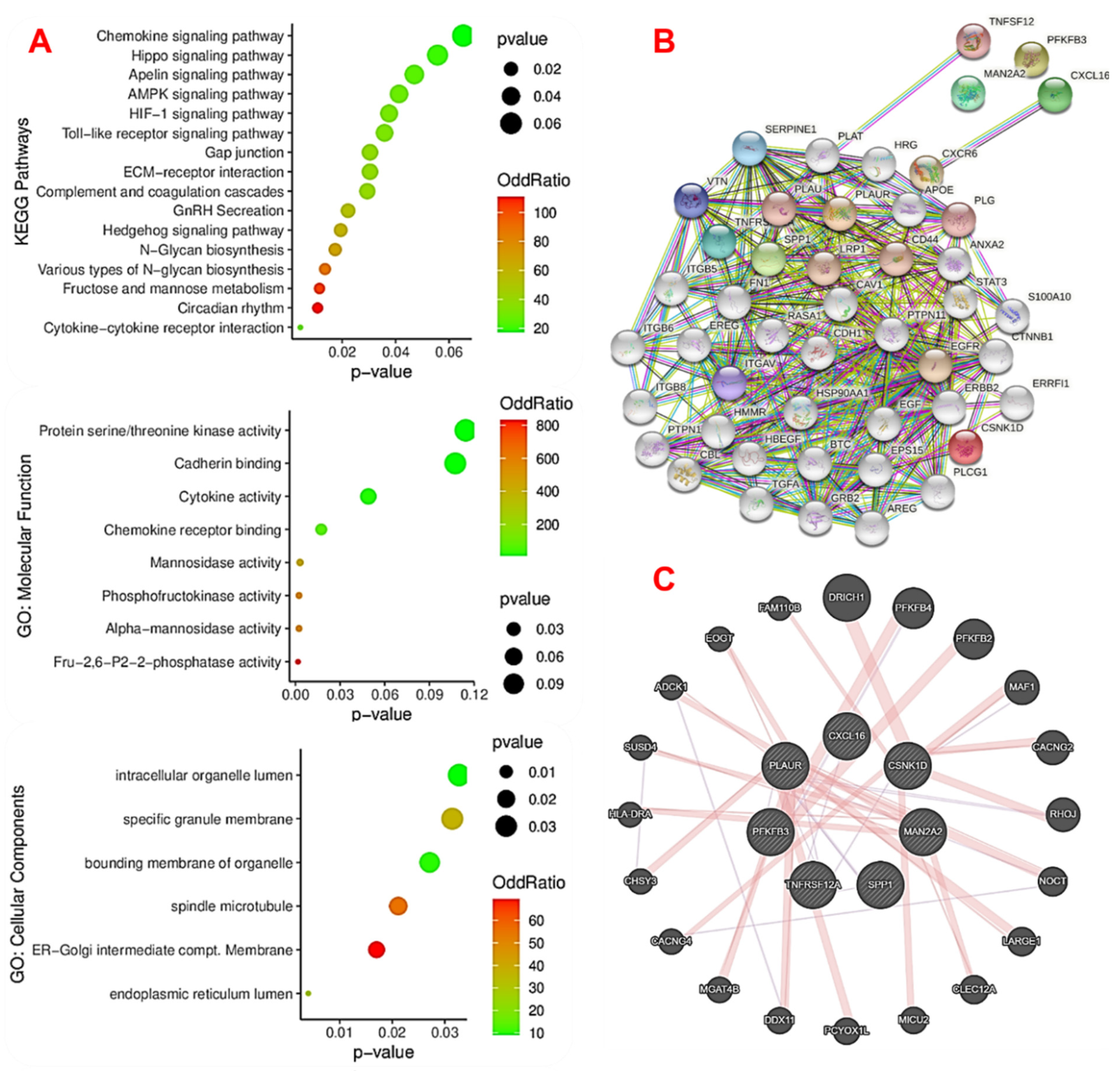 Ijms 23 01281 g004 550
