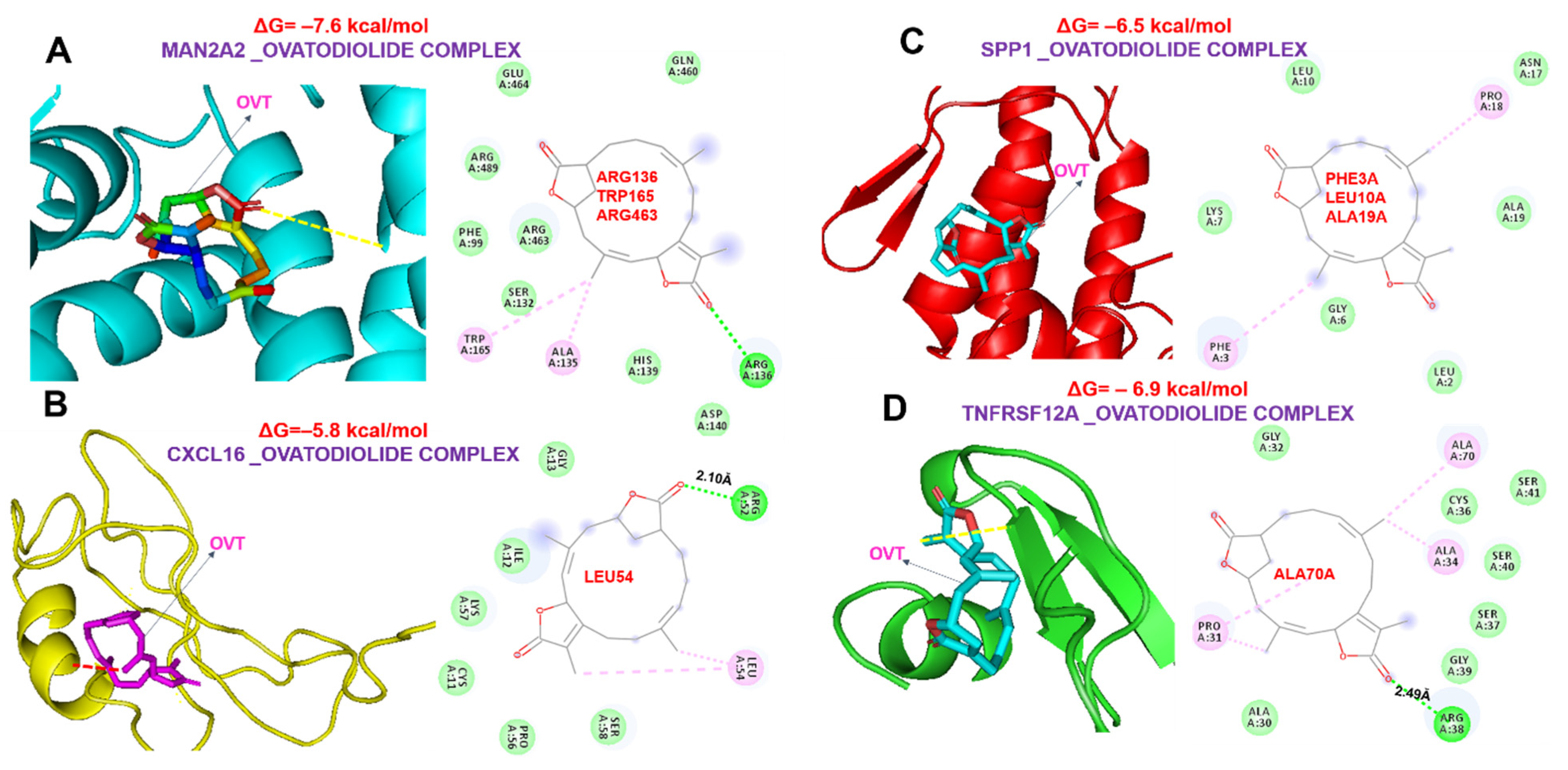 Ijms 23 01281 g008 550