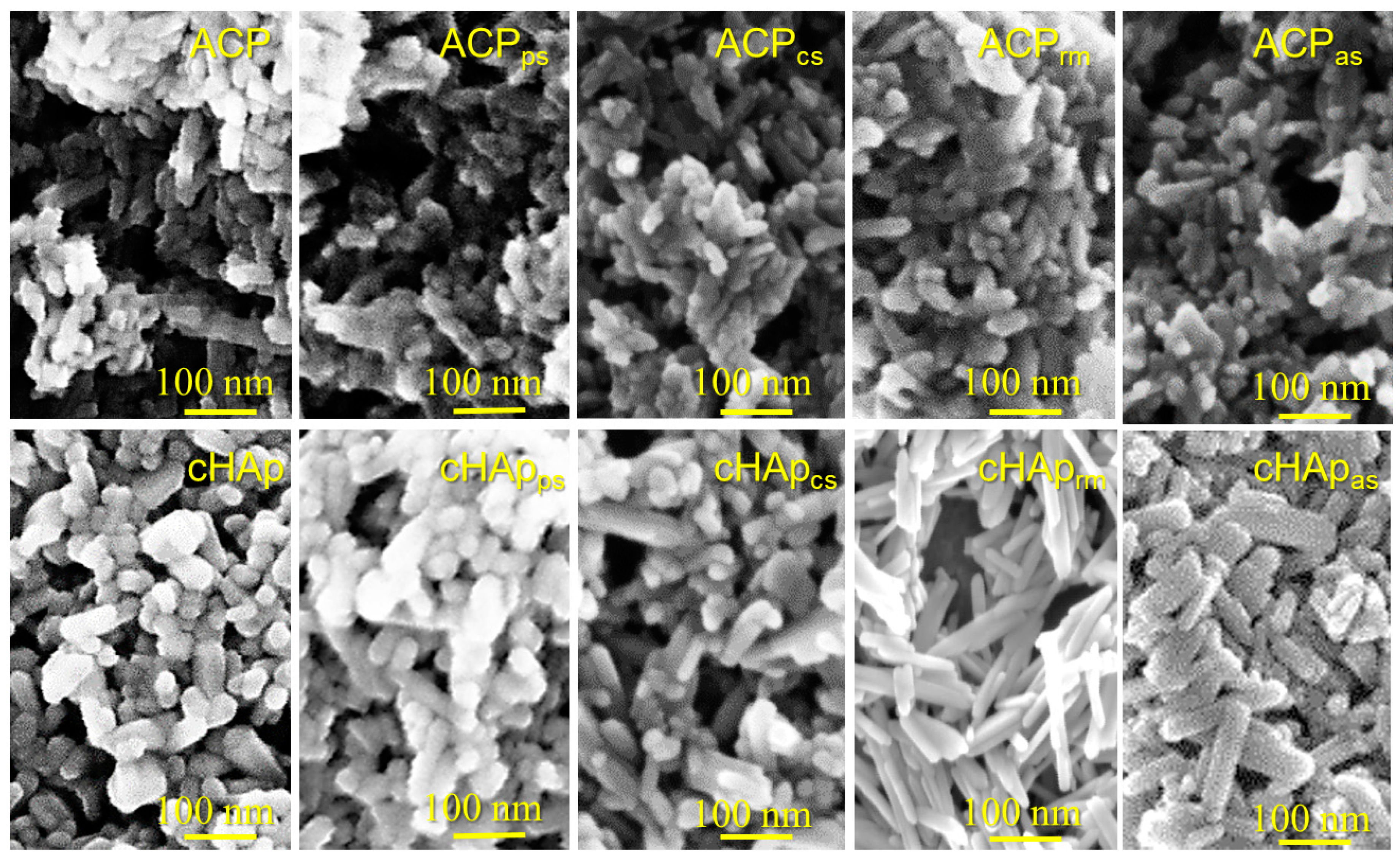 Ijms 23 01282 g002 550