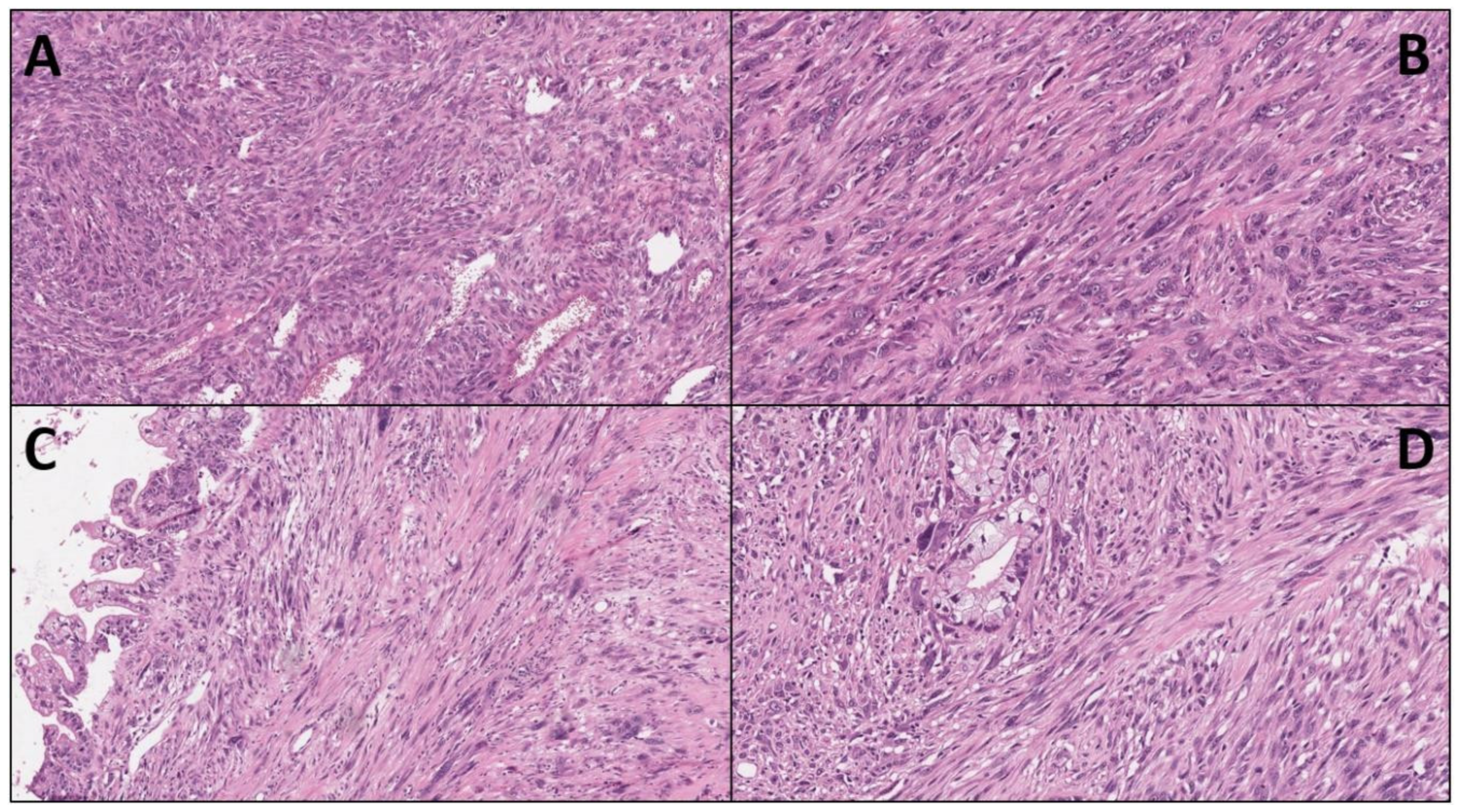 Ijms 23 01283 g001 550