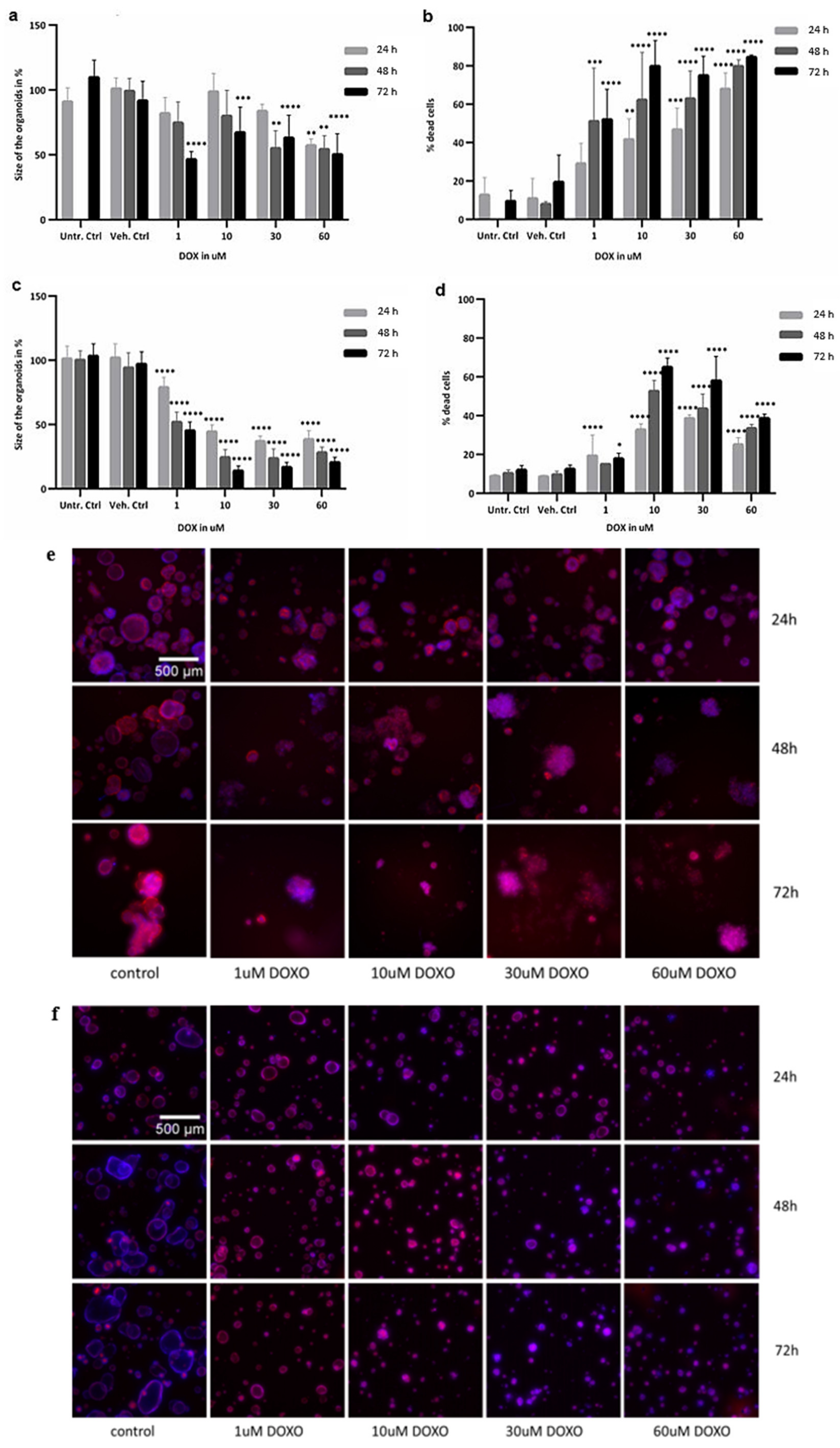 Ijms 23 01286 g003 550
