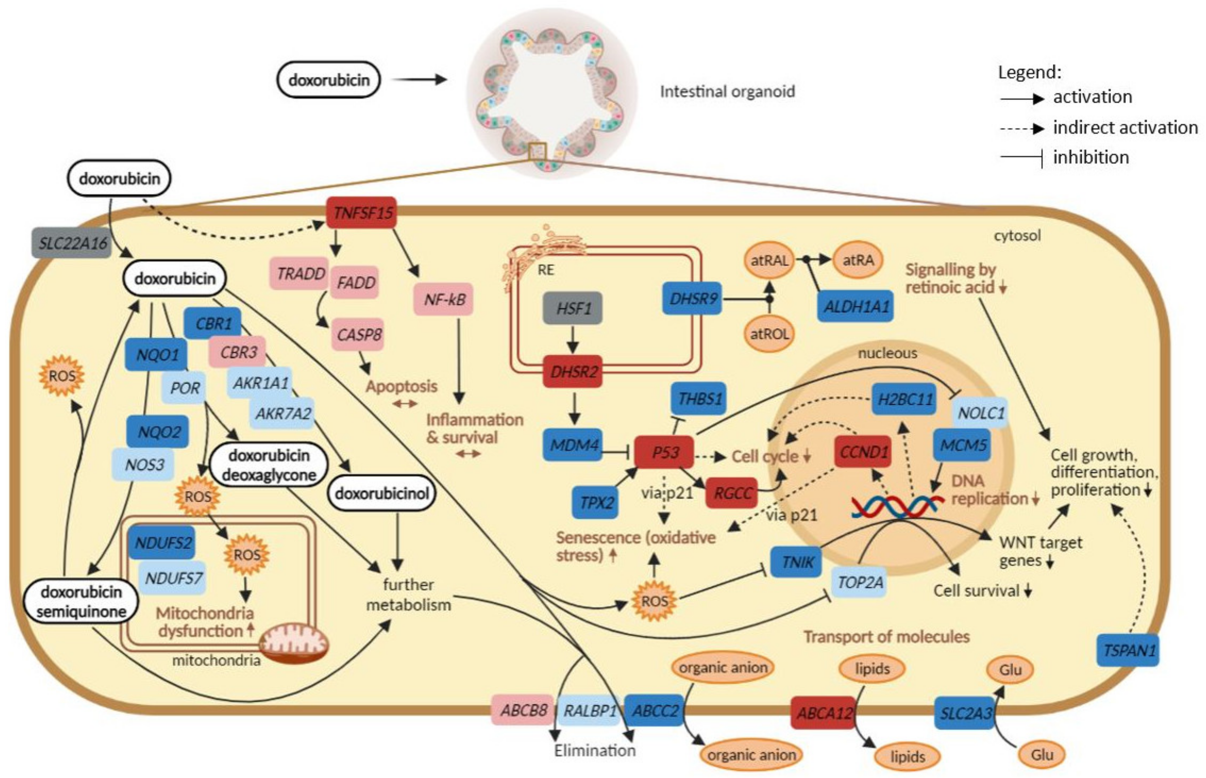 Ijms 23 01286 g006 550