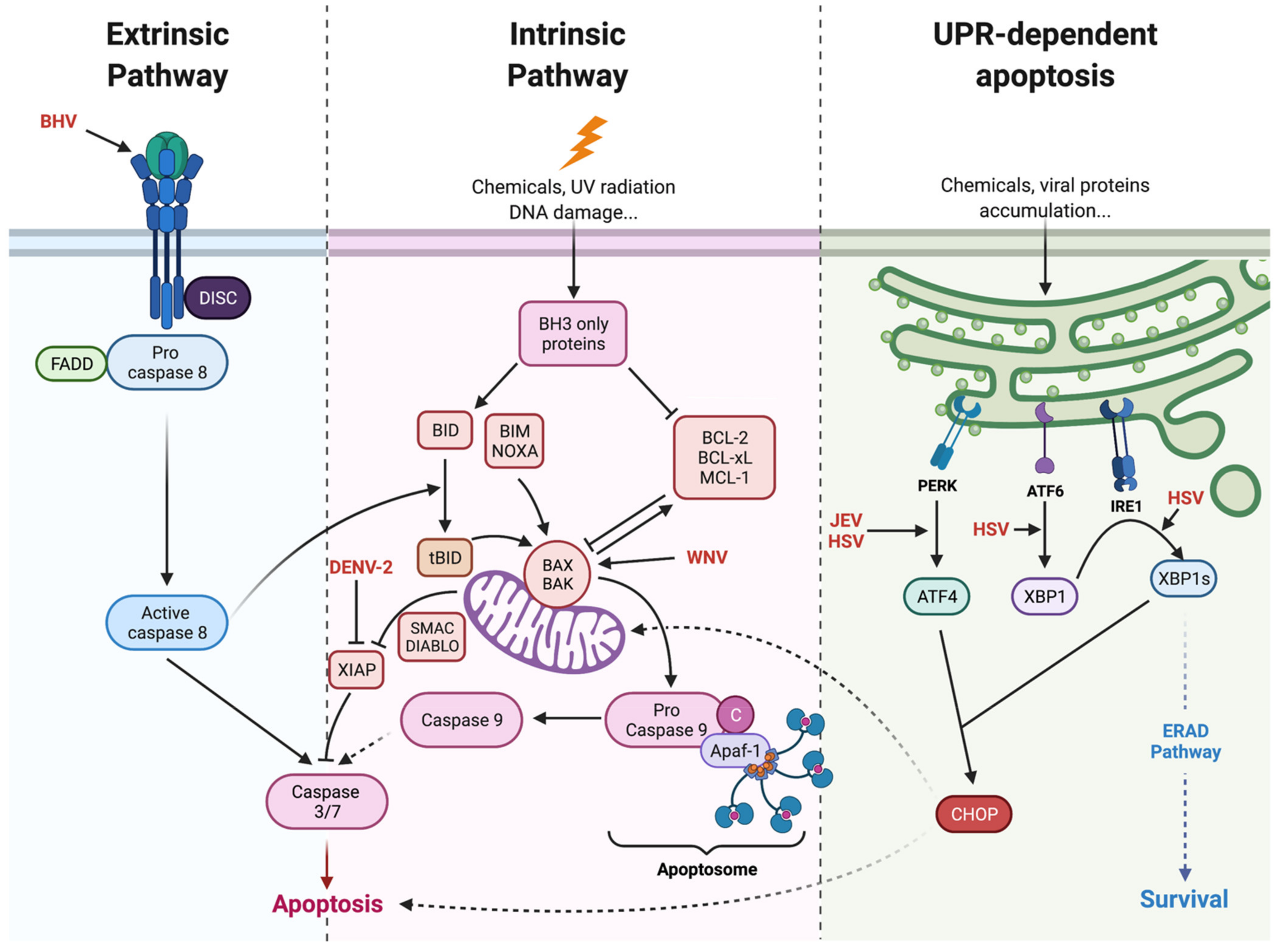 Ijms 23 01287 g001 550