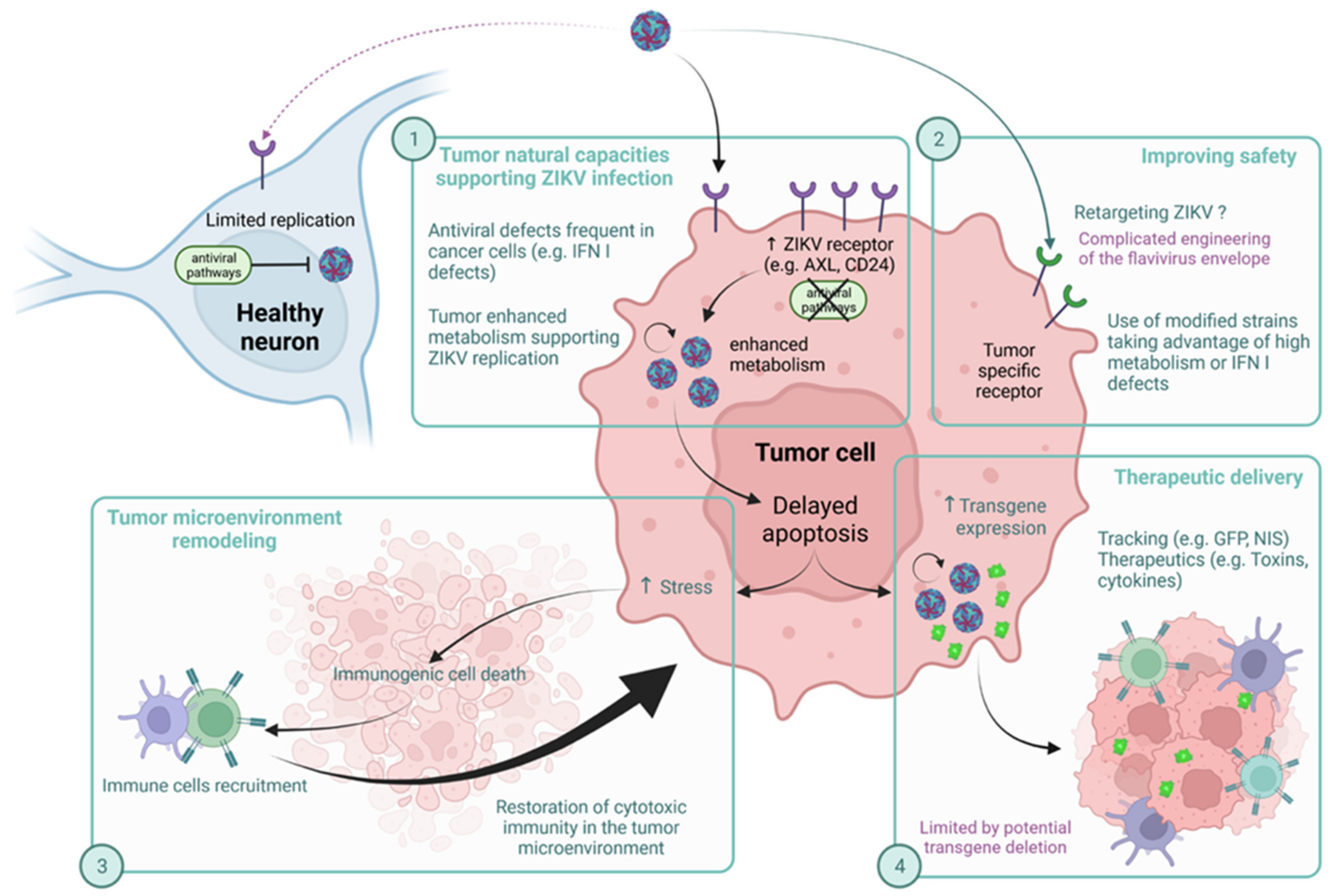 Ijms 23 01287 g004 550