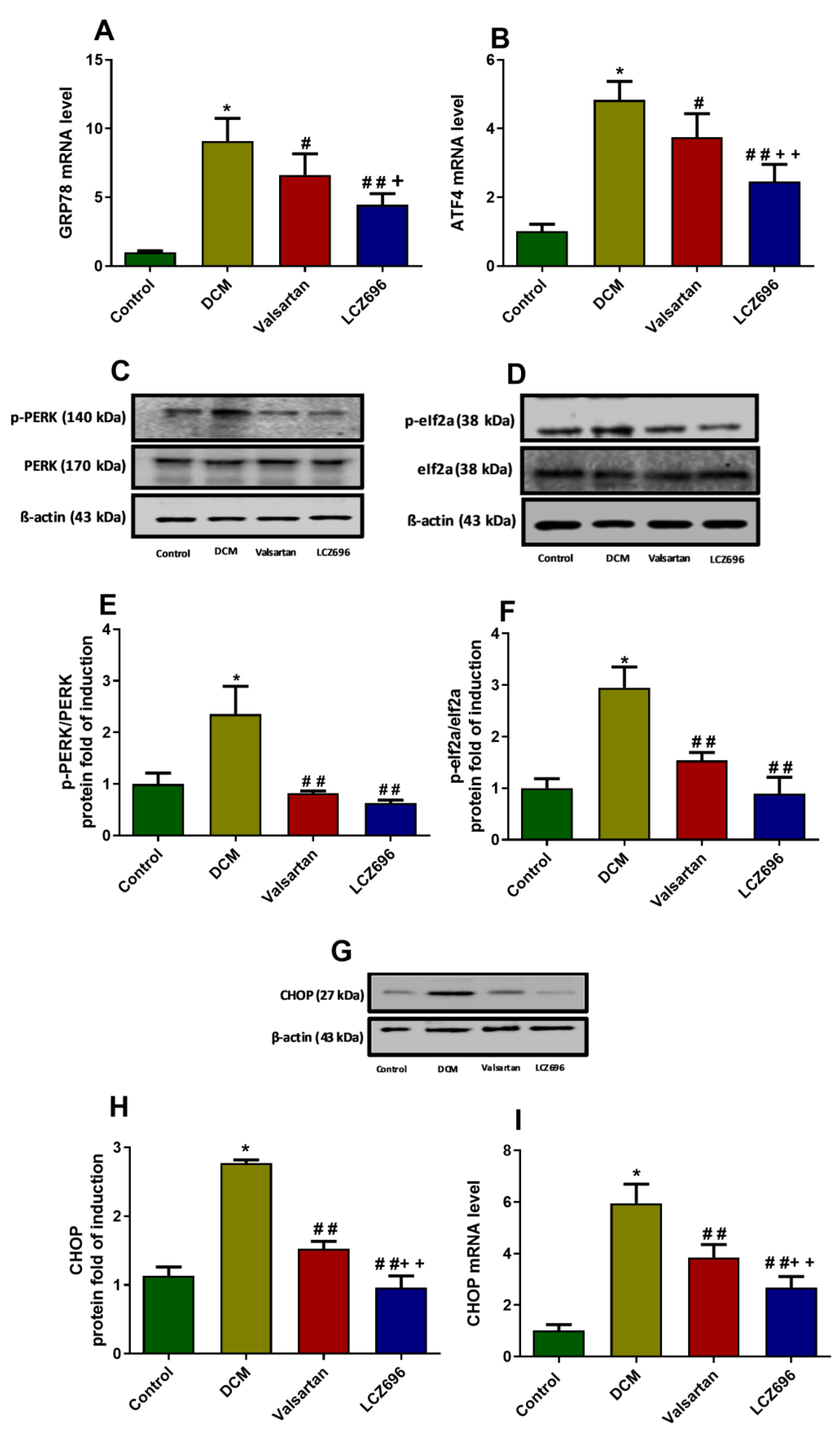 Ijms 23 01288 g009 Ijms 23 01288 g009