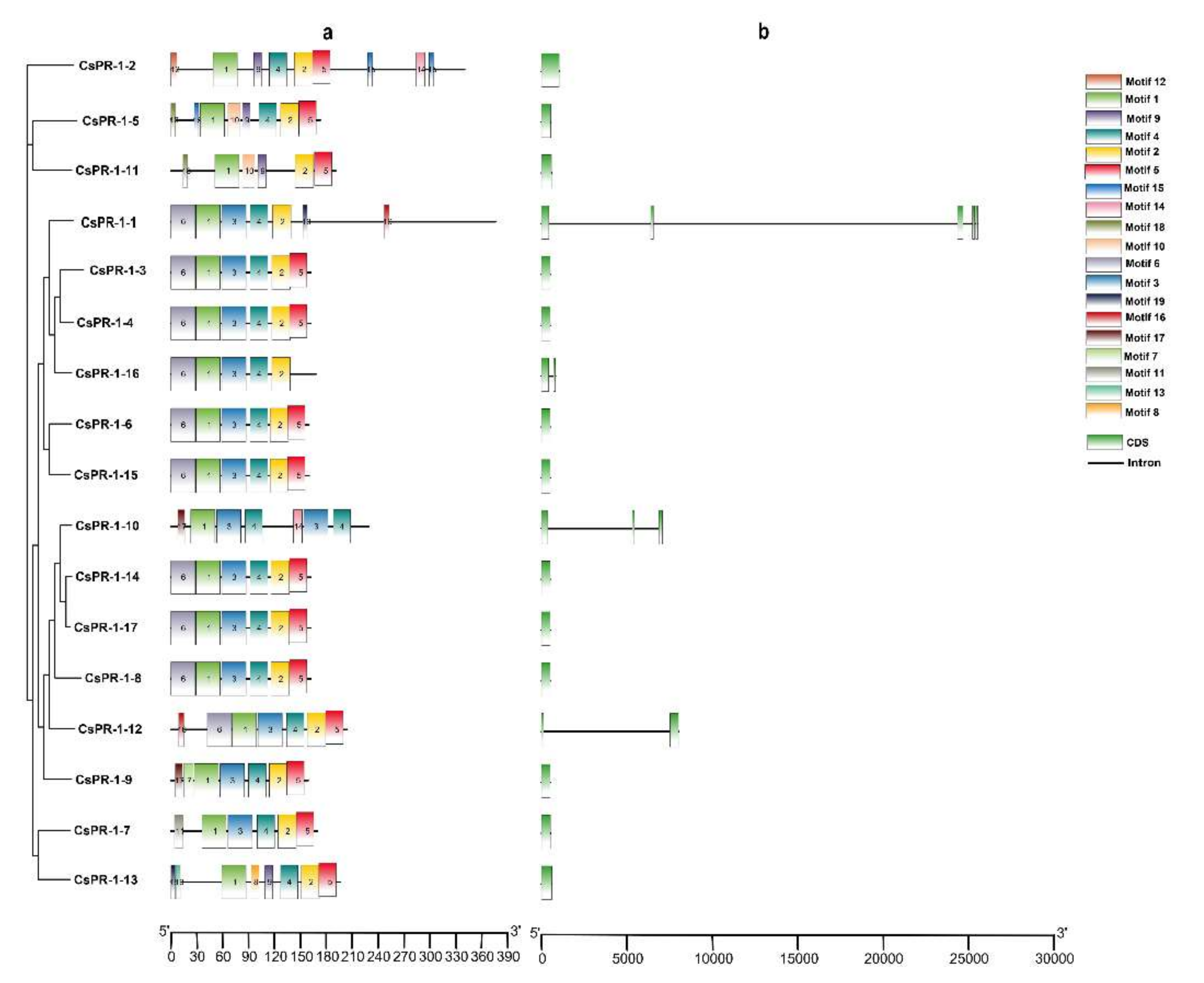 Ijms 23 01292 g002 550