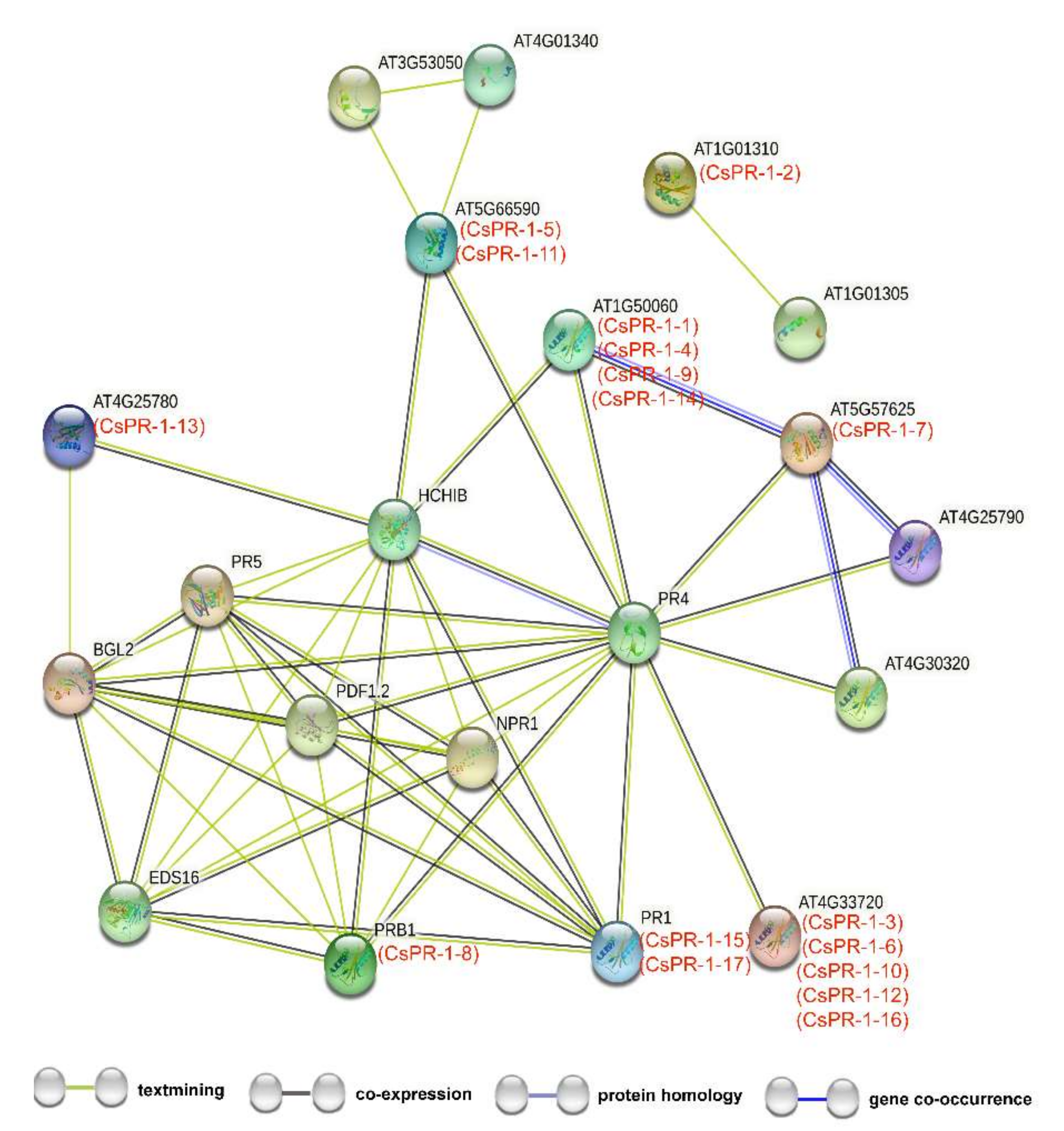 Ijms 23 01292 g003 550