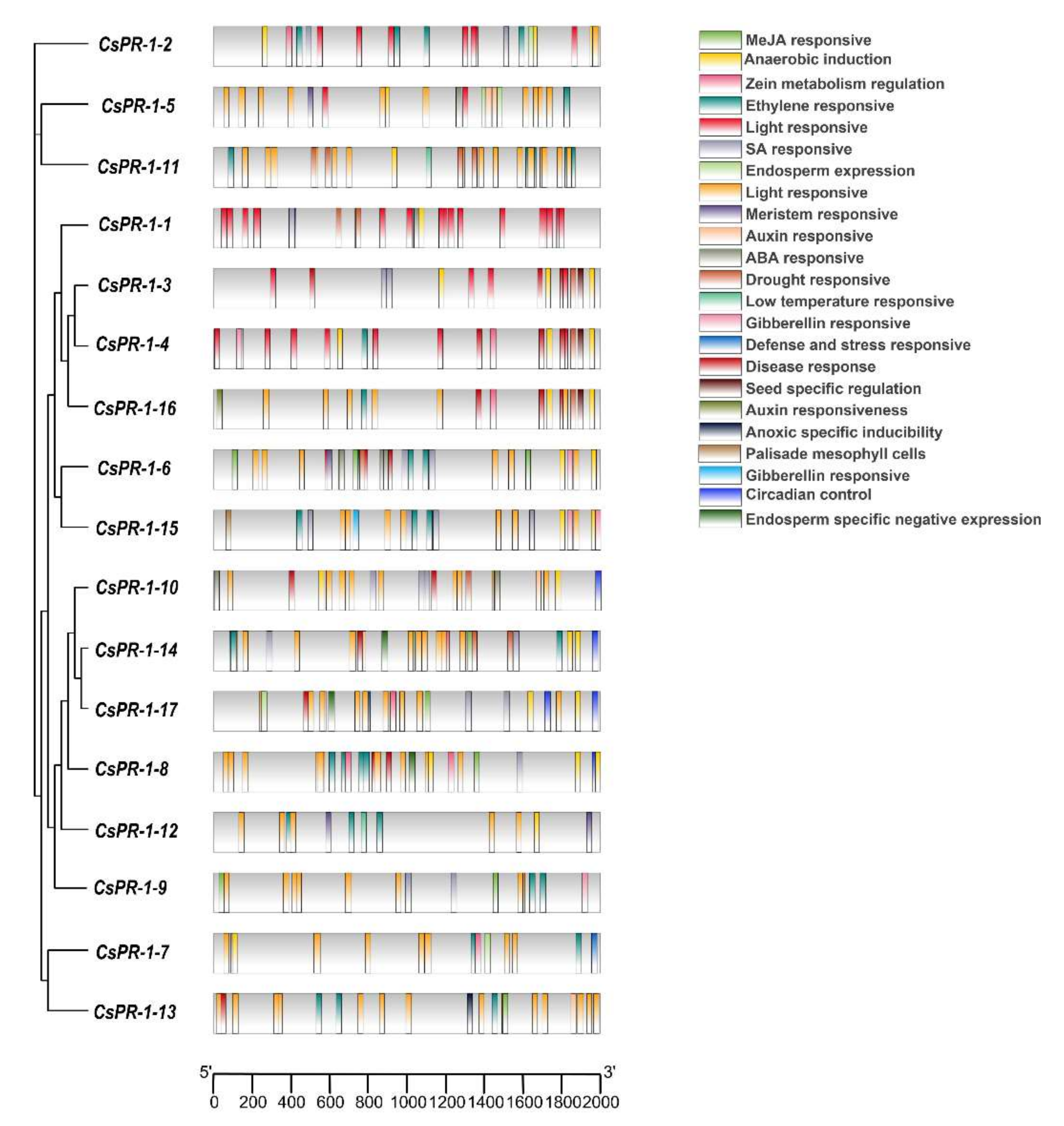 Ijms 23 01292 g004 550