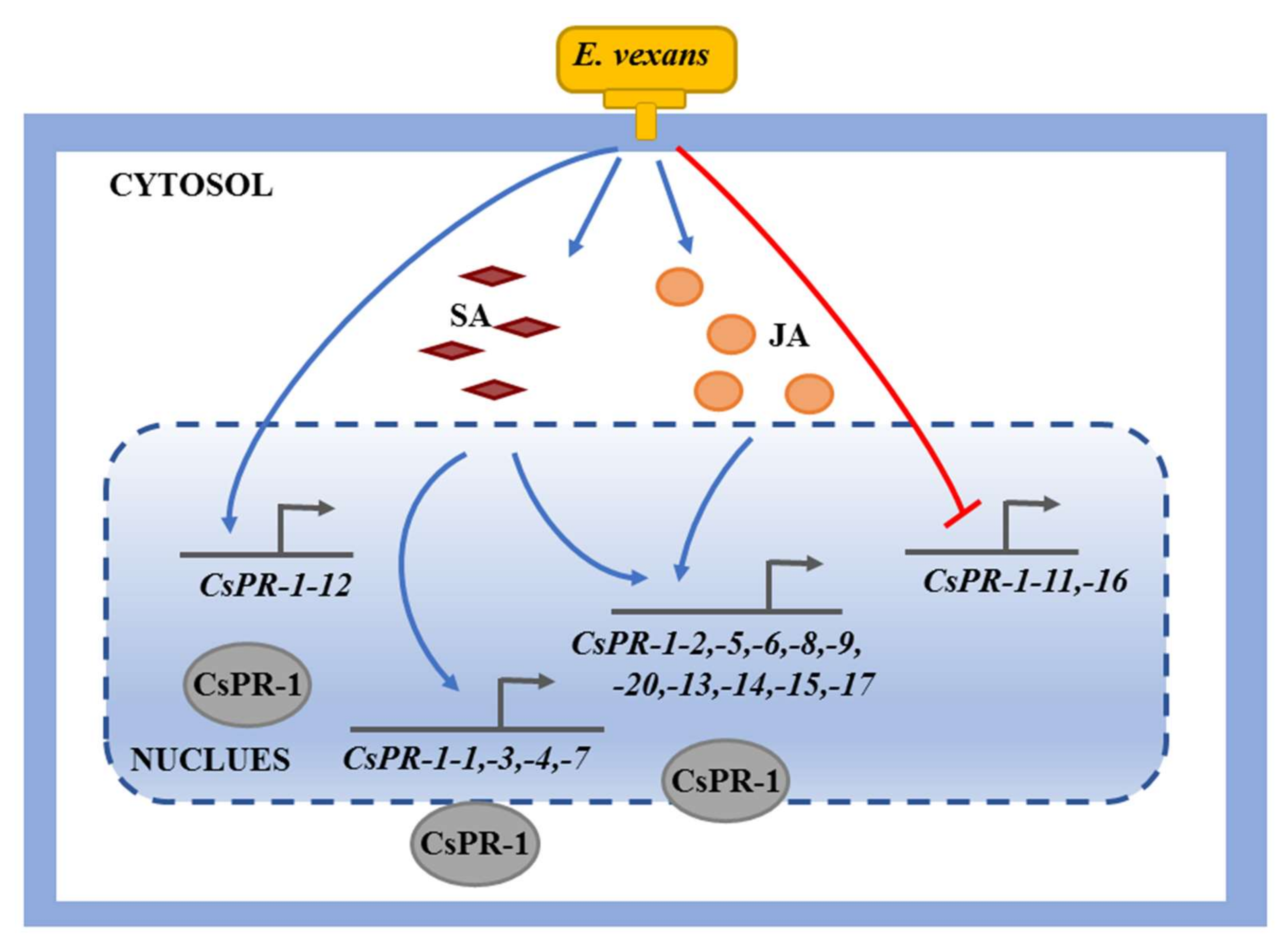 Ijms 23 01292 g008 550