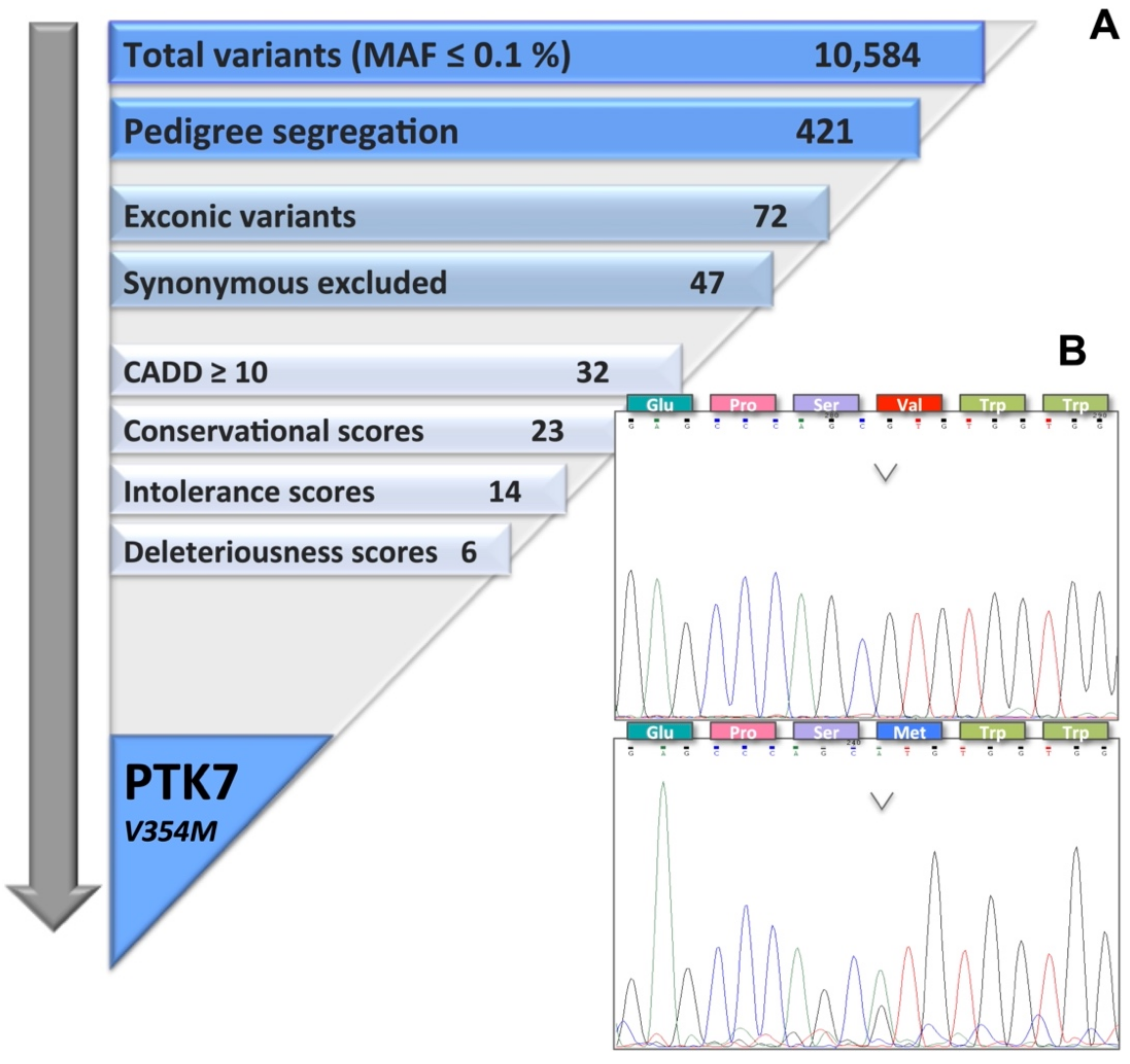 Ijms 23 01295 g001 Ijms 23 01295 g001