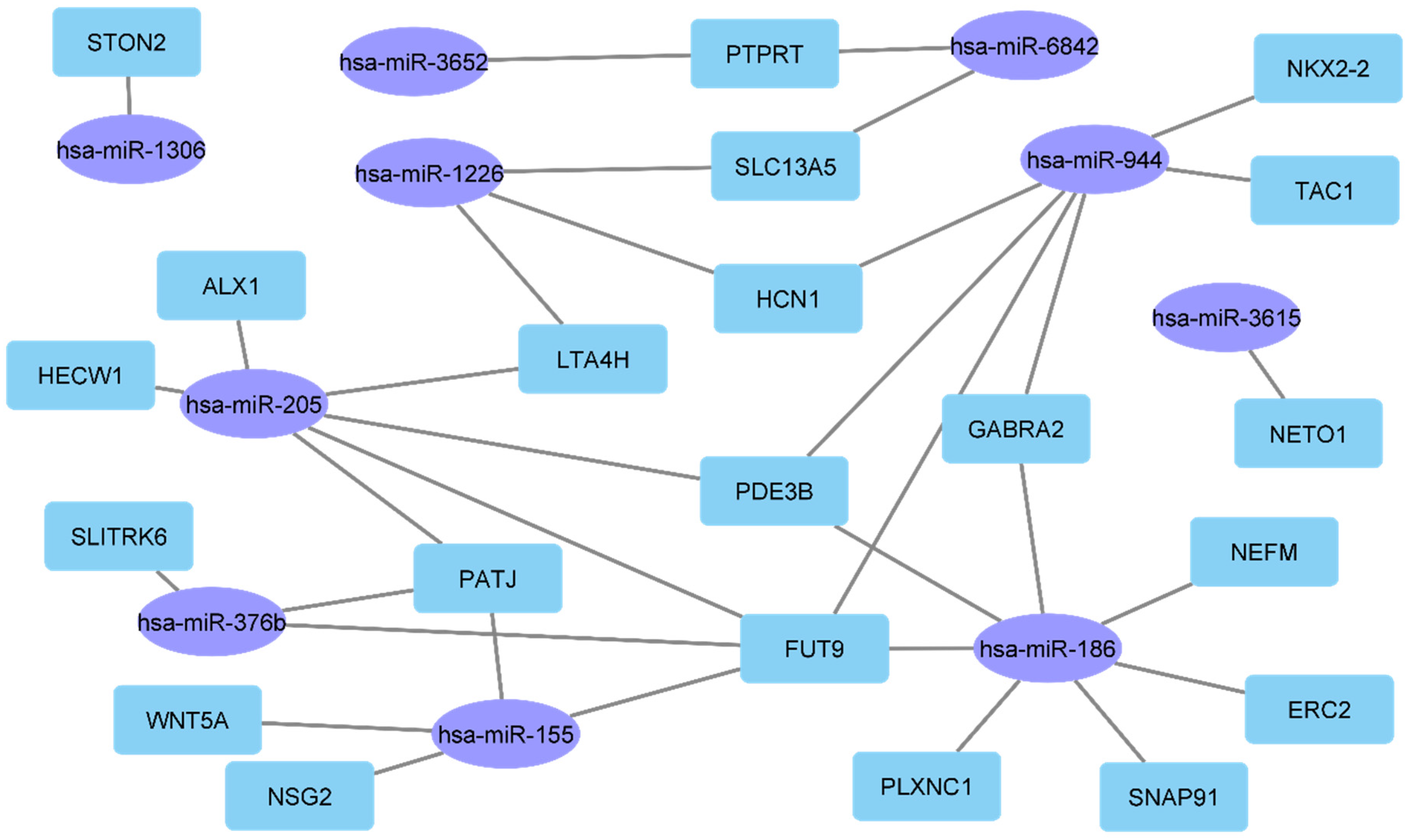 Ijms 23 01299 g002 Ijms 23 01299 g002