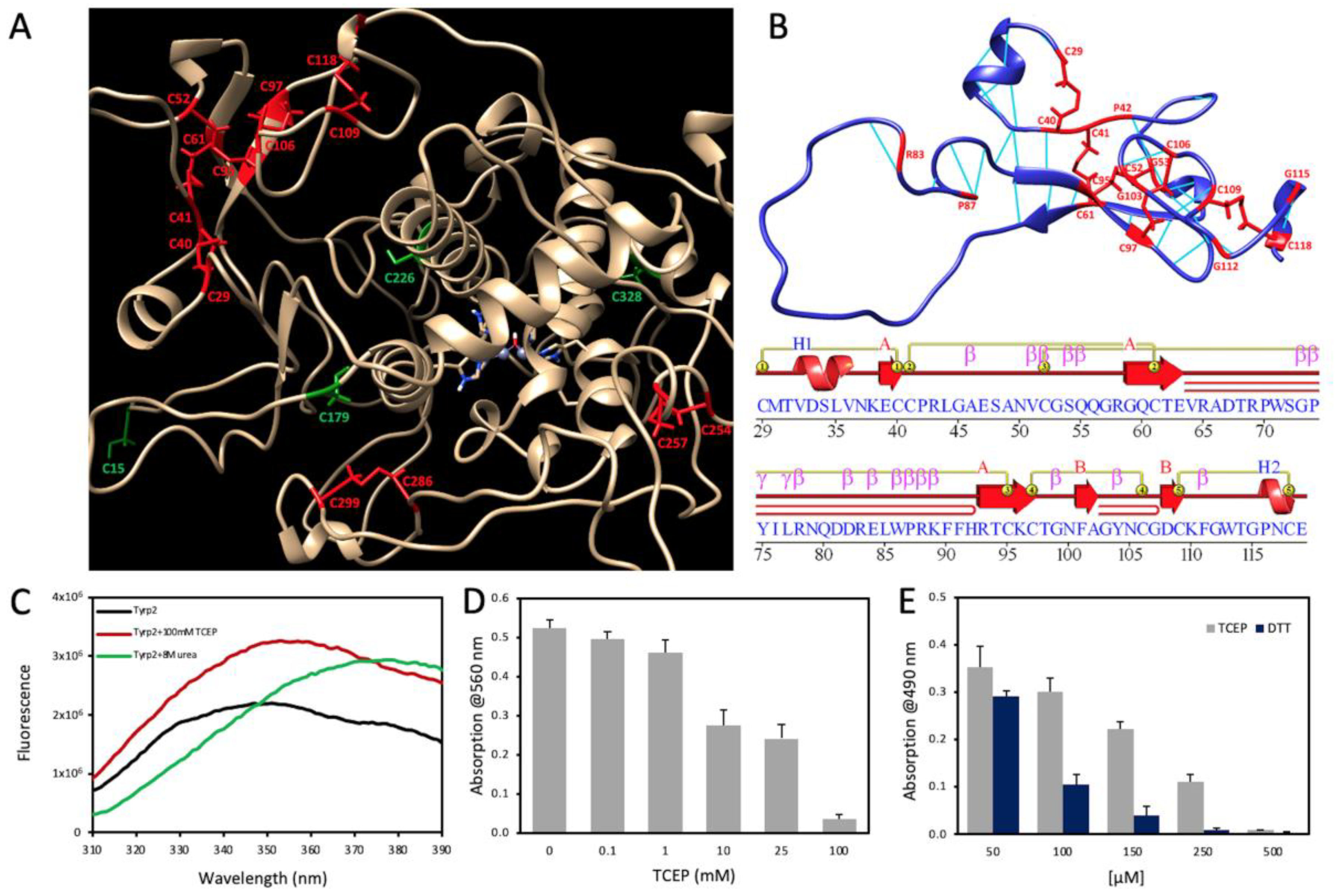 Ijms 23 01305 g004 550