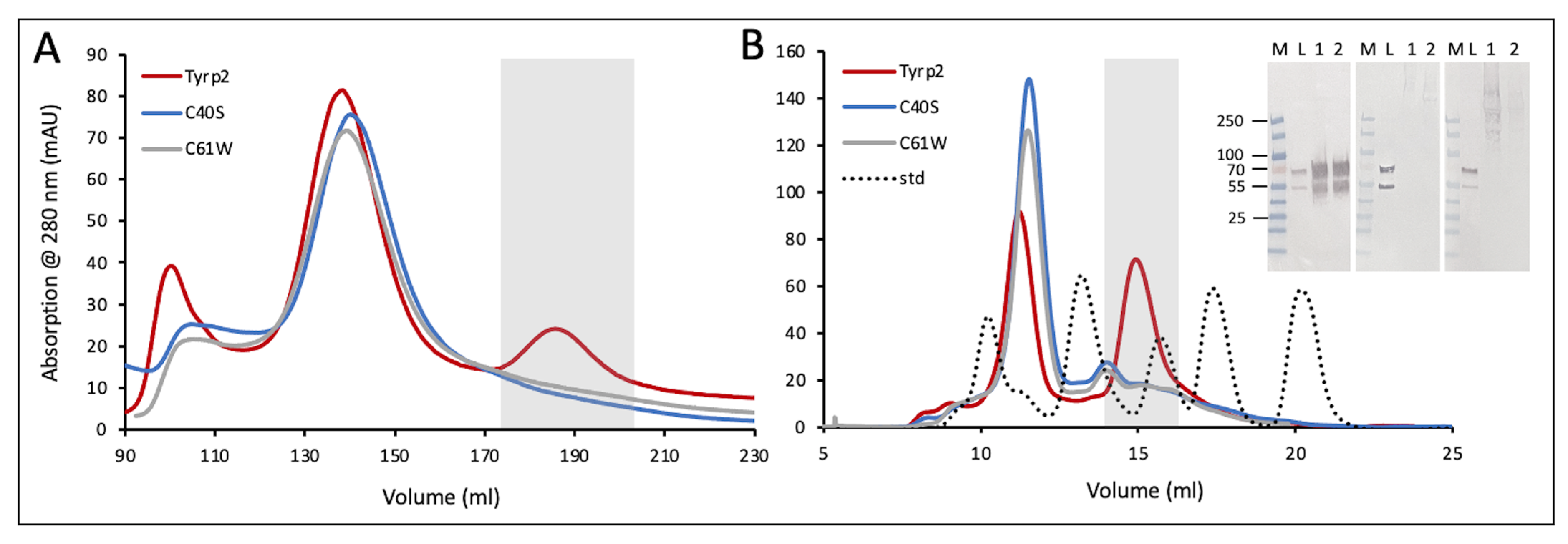 Ijms 23 01305 g005 550